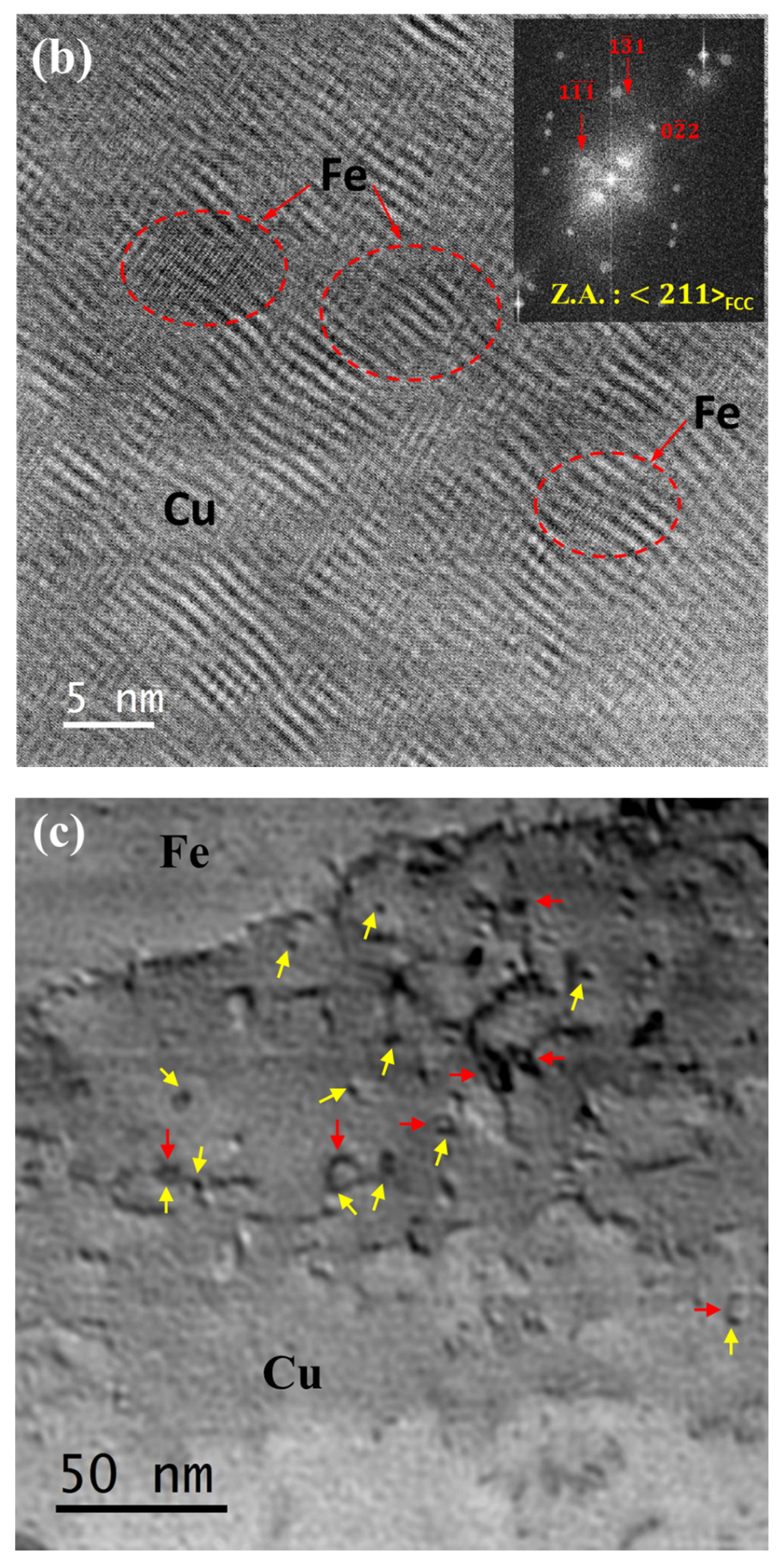 Nanomaterials 12 01514 g010b Nanomaterials 12 01514 g010b