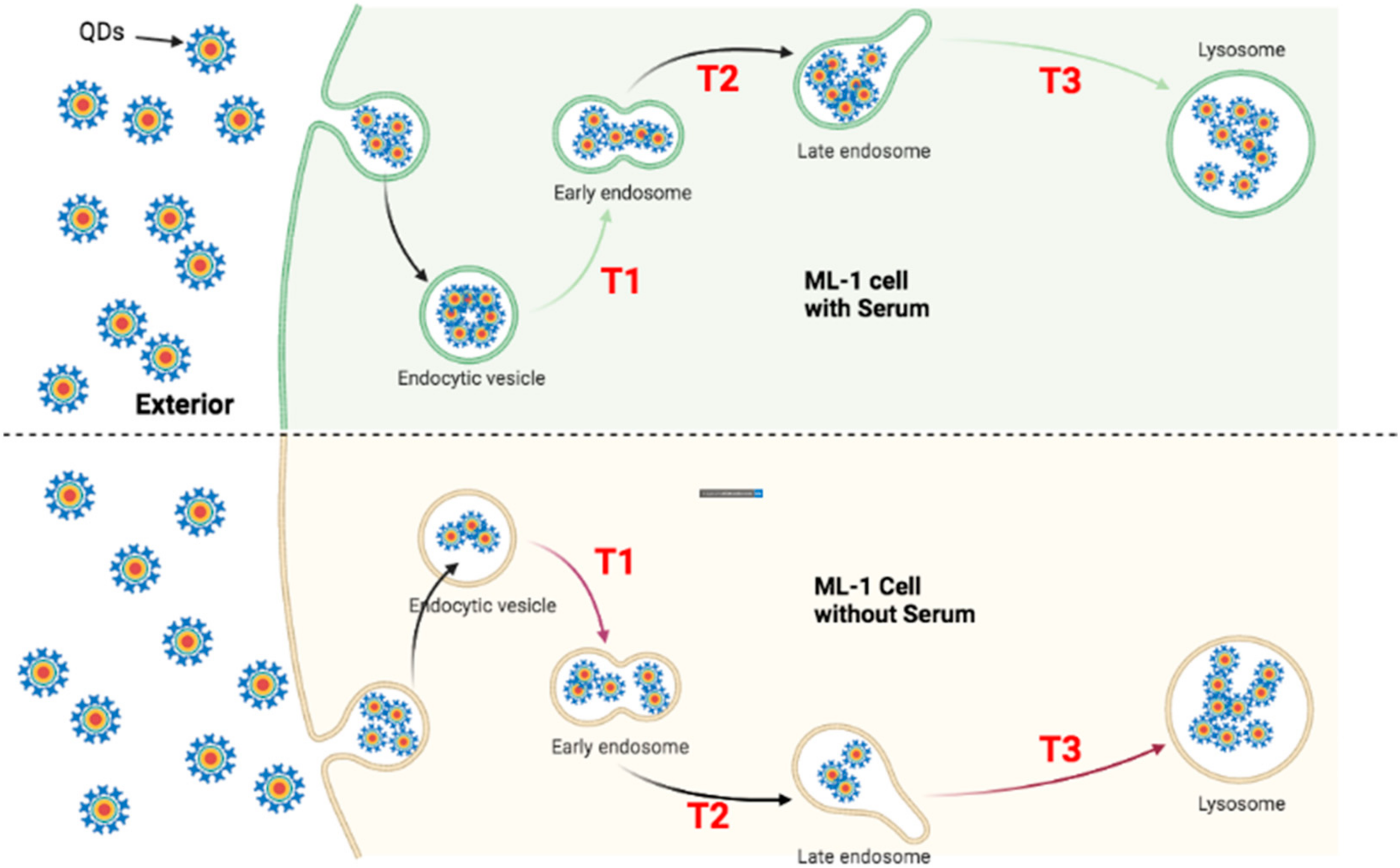 Nanomaterials 12 01517 g016