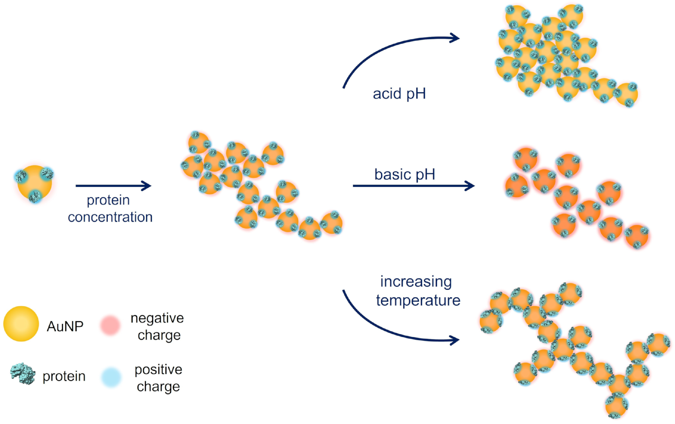 Nanomaterials 12 01529 g008