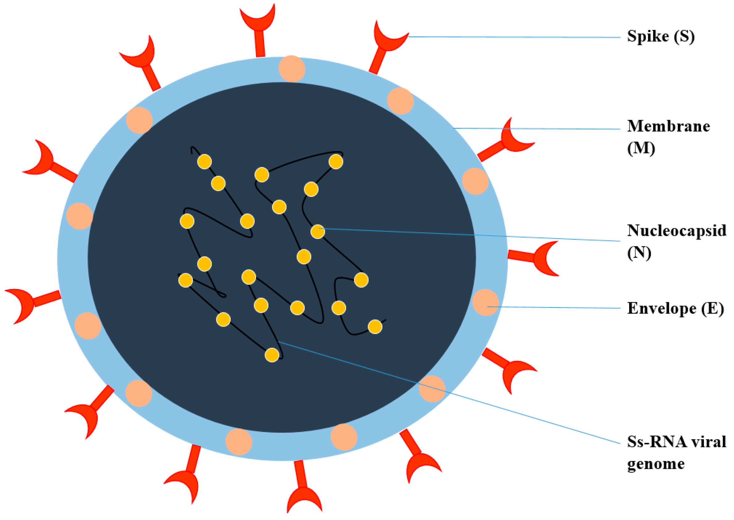 Nanomaterials 12 01530 g001 Nanomaterials 12 01530 g001