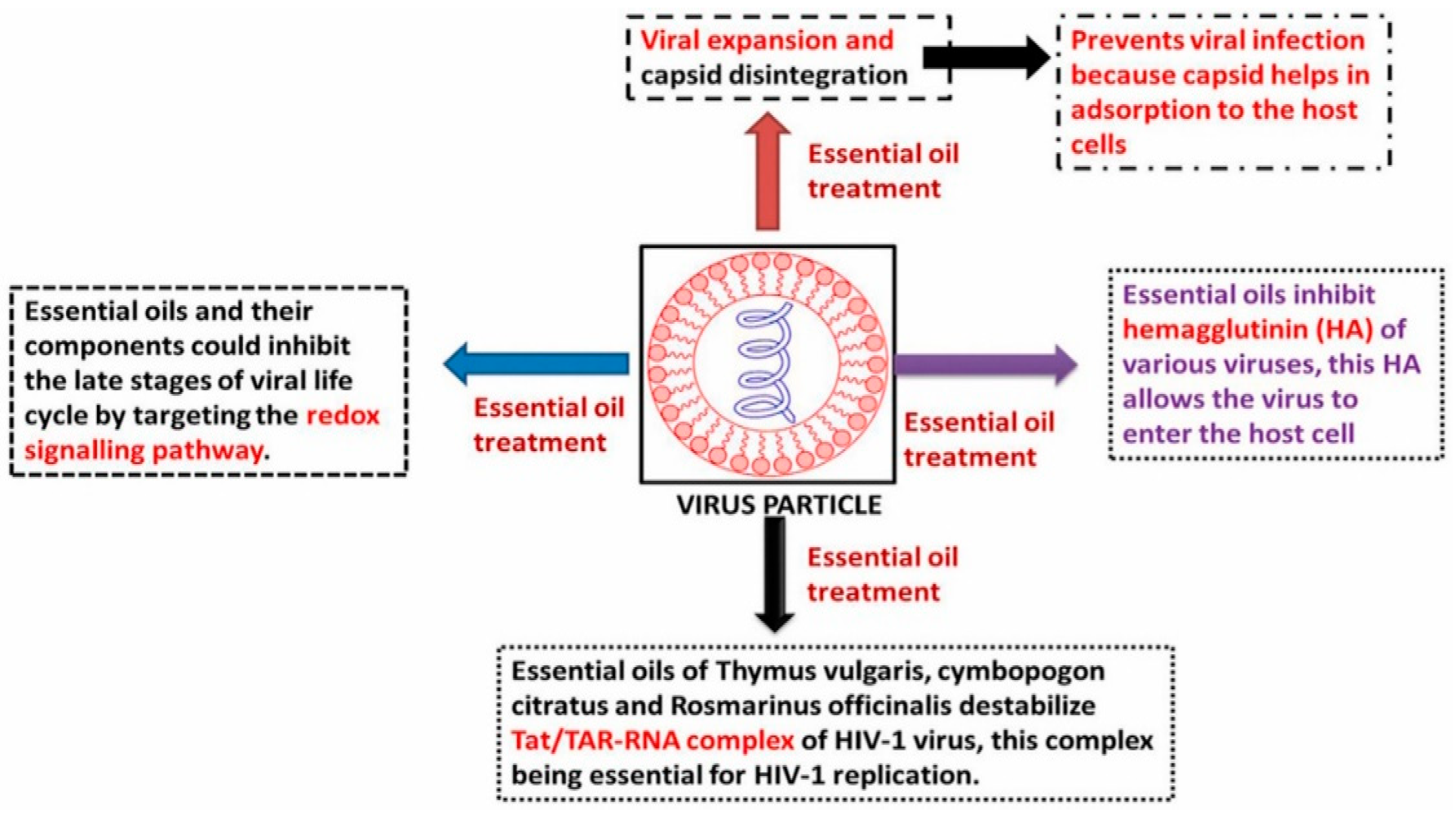 Nanomaterials 12 01530 g003 Nanomaterials 12 01530 g003