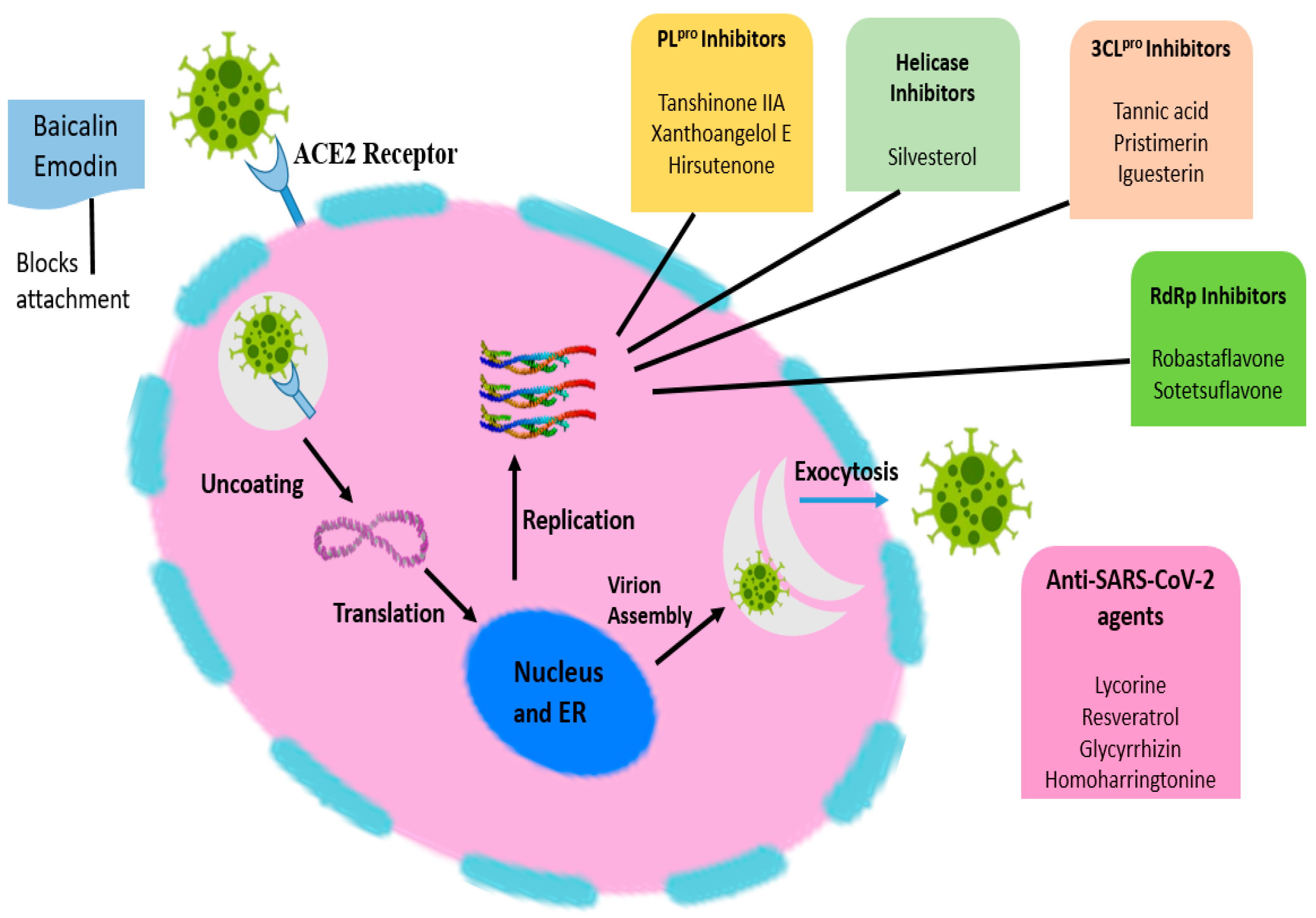Nanomaterials 12 01530 g004 Nanomaterials 12 01530 g004