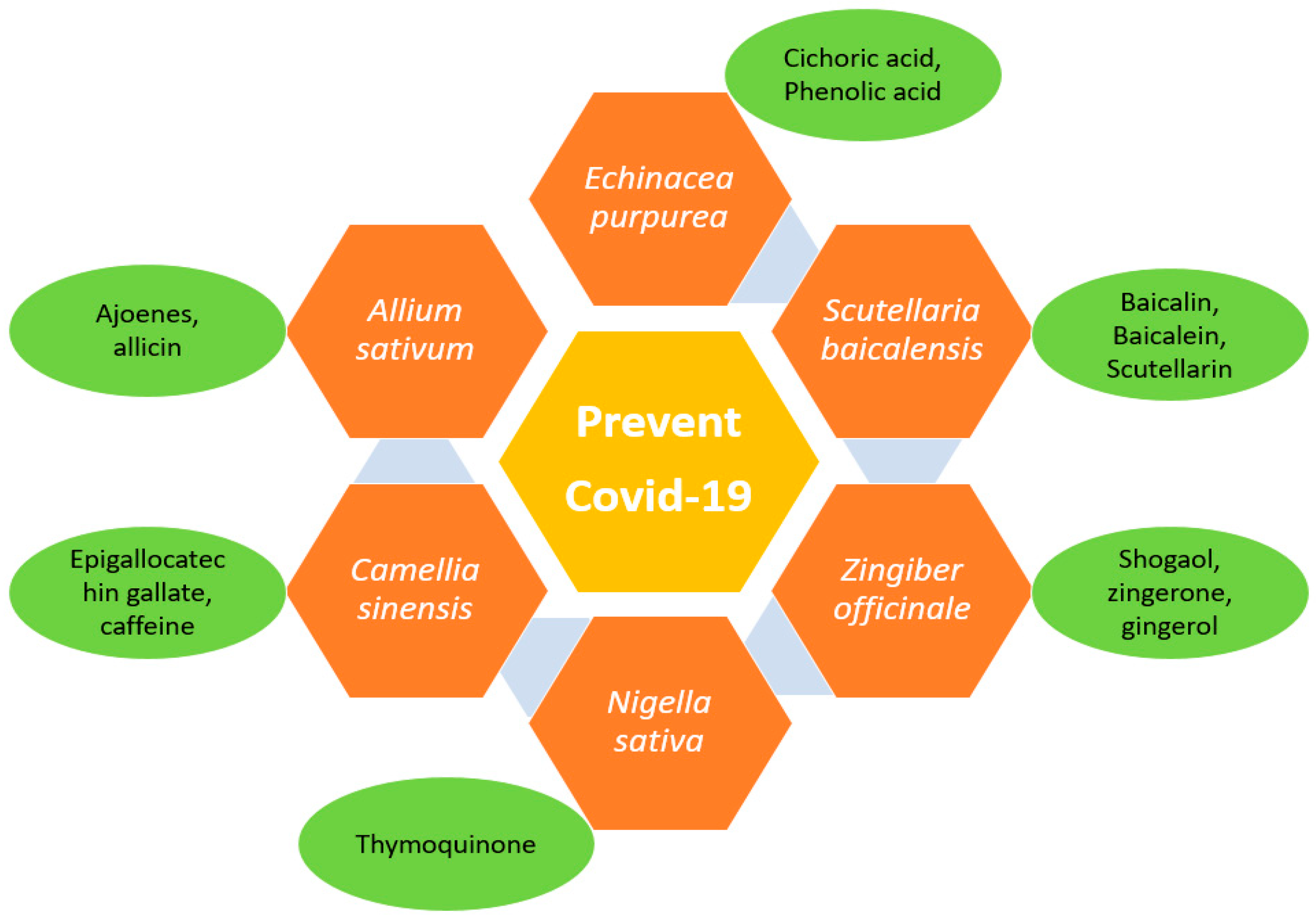 Nanomaterials 12 01530 g005 Nanomaterials 12 01530 g005