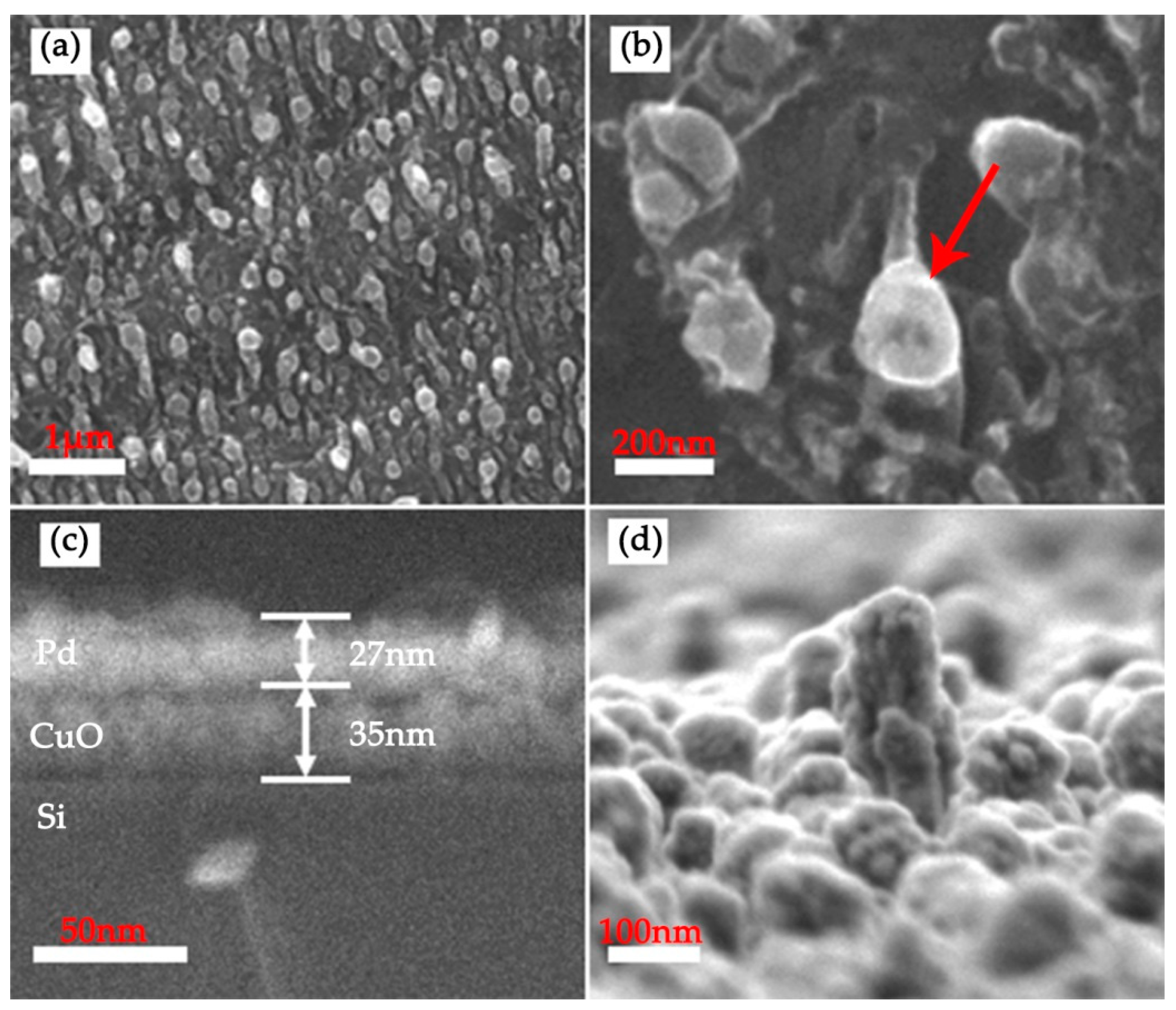 Nanomaterials 12 01533 g002