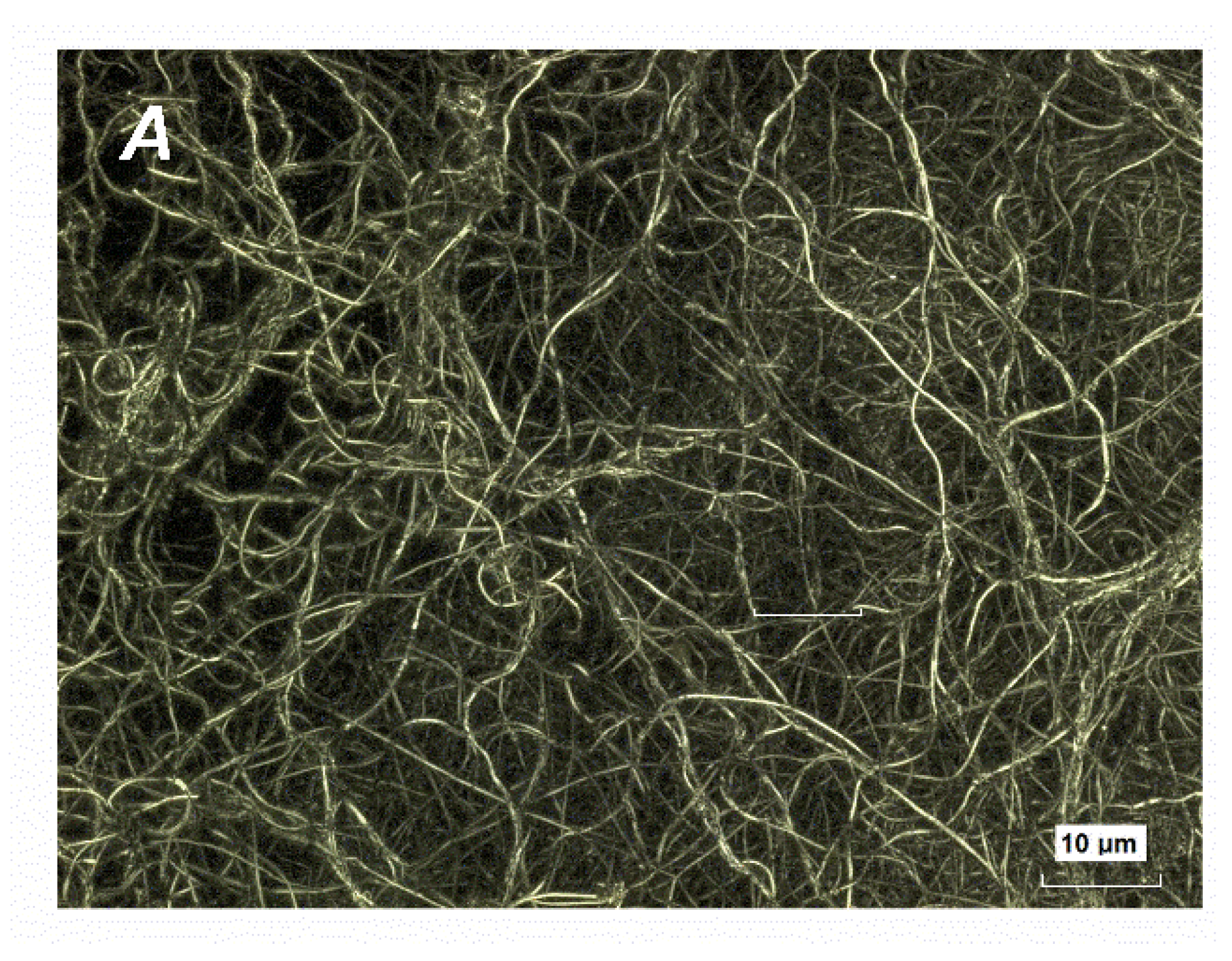 Nanomaterials 12 01541 g001a