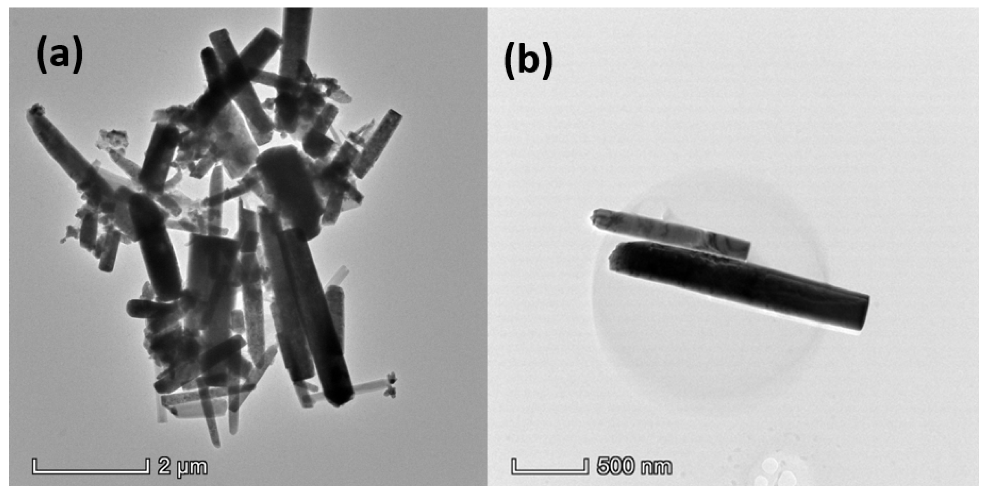 Nanomaterials 12 01568 g003