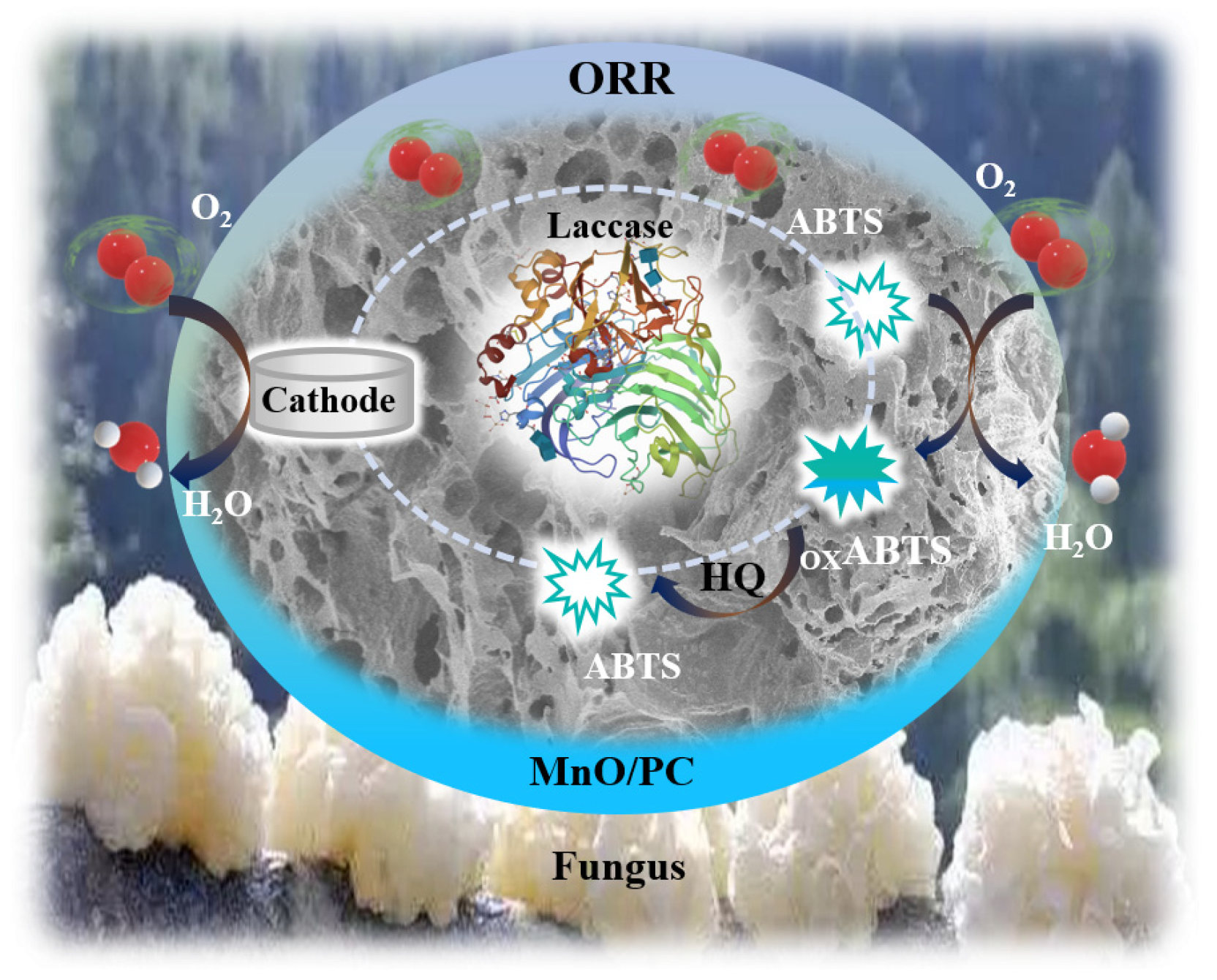 Nanomaterials 12 01596 sch001