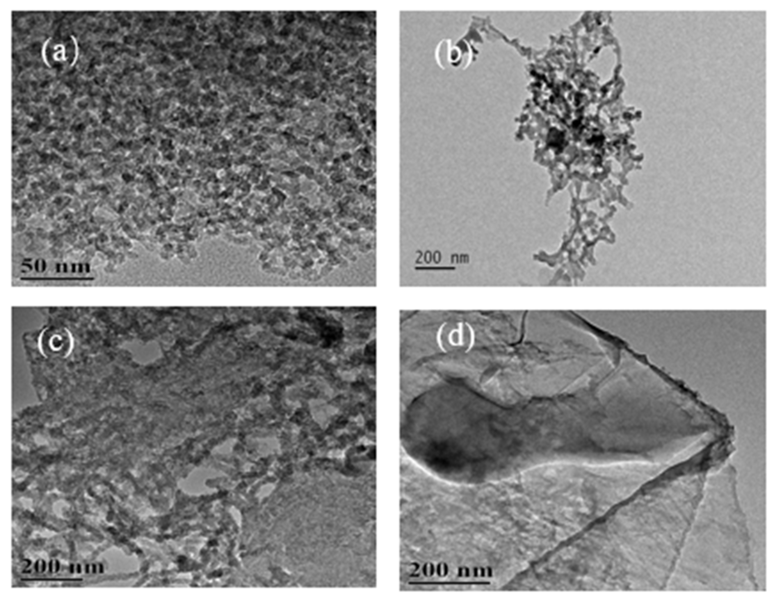Nanomaterials 12 01652 g003