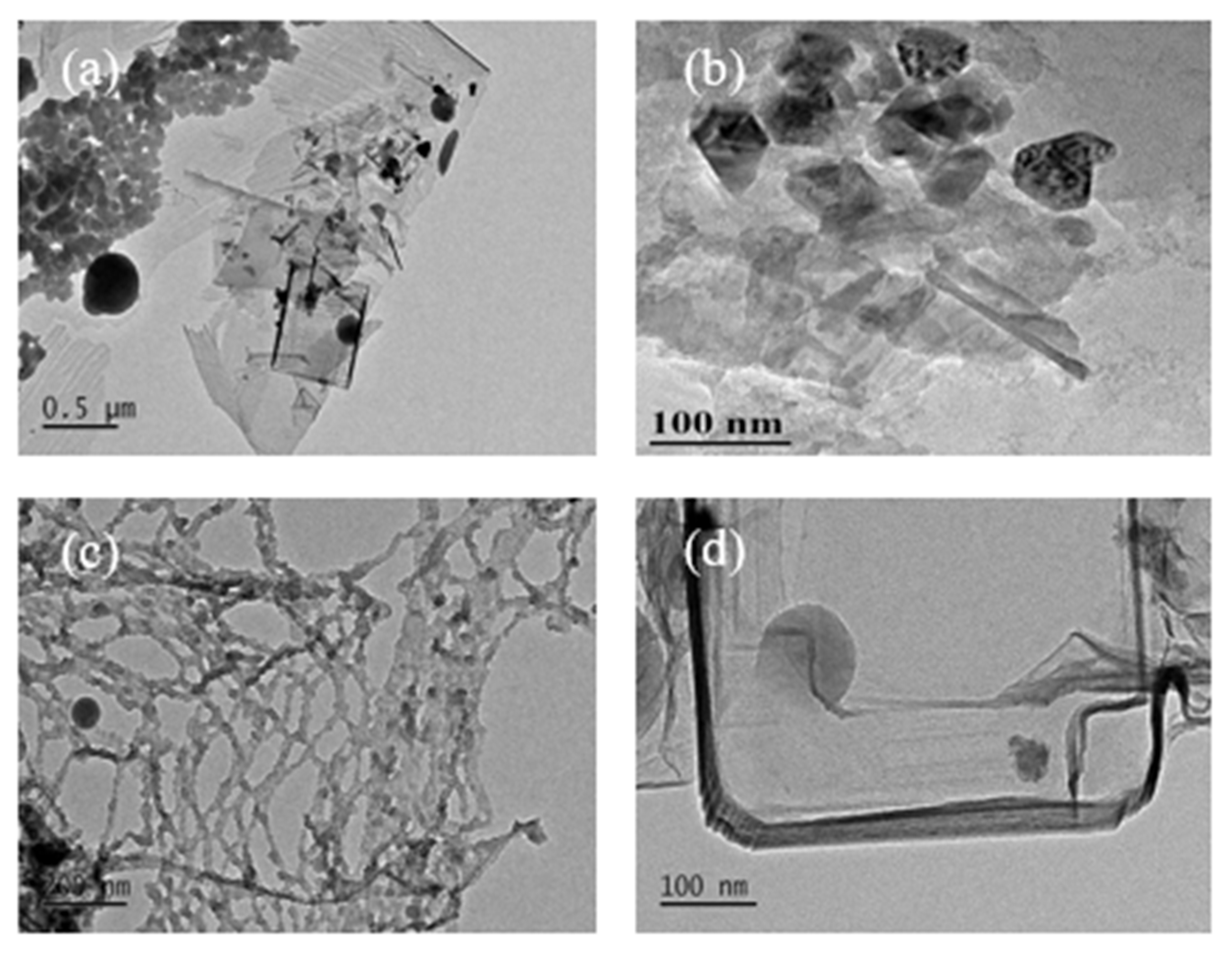 Nanomaterials 12 01652 g004