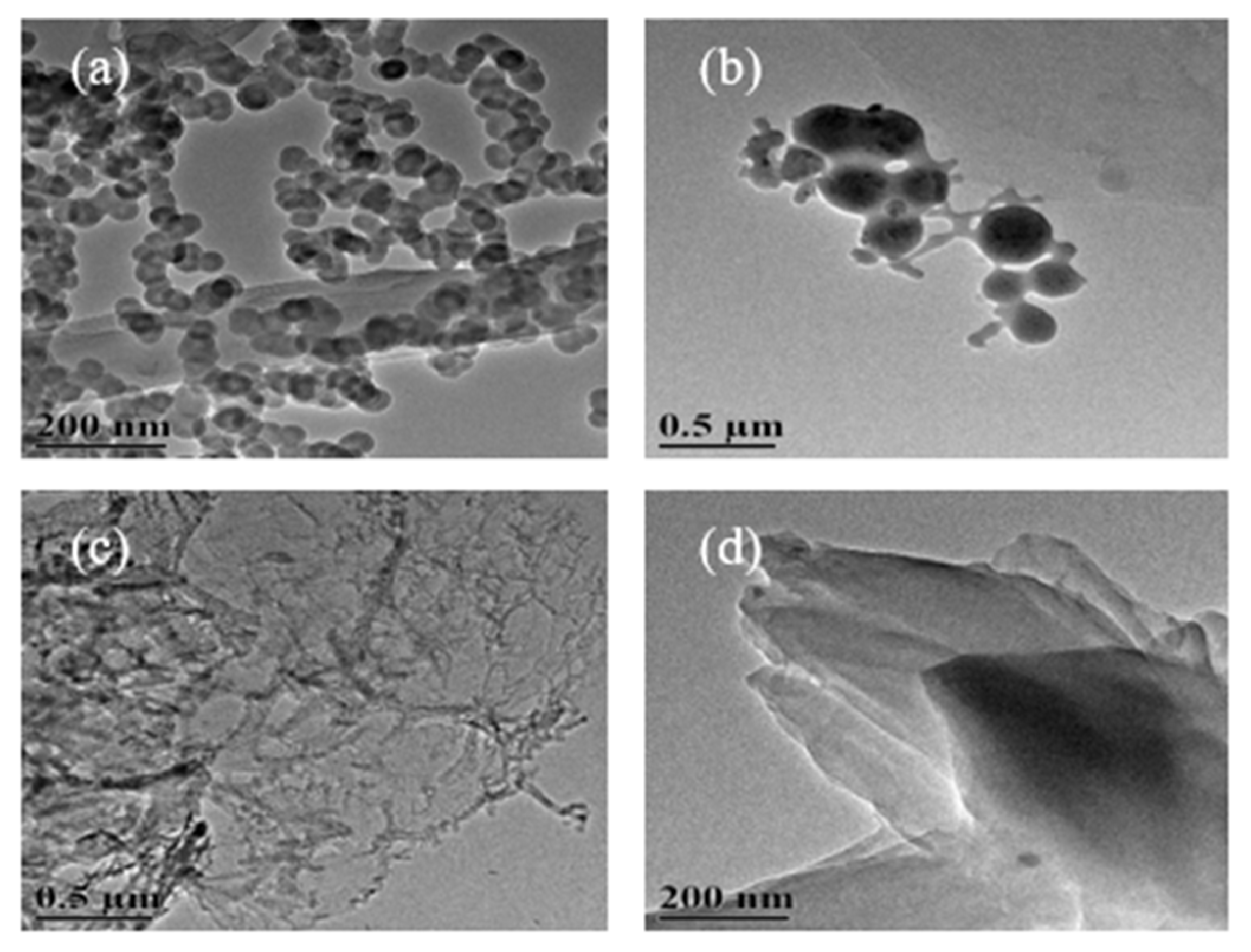Nanomaterials 12 01652 g005
