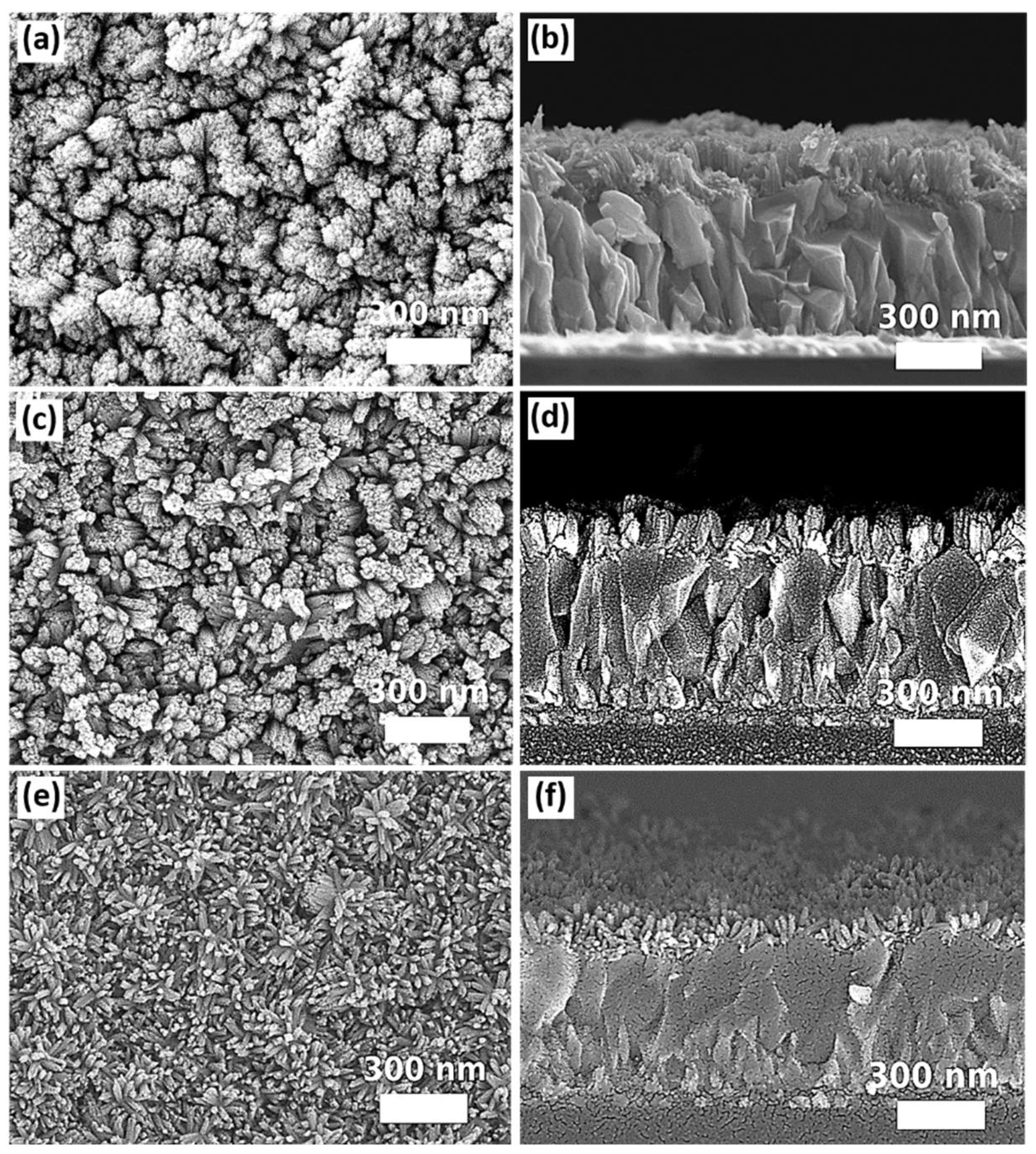 Nanomaterials 12 01686 g006