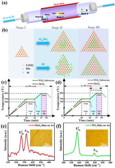 Nanomaterials | Free Full-Text | Selective Chemical Vapor Deposition Growth  of WS2/MoS2 Vertical and Lateral Heterostructures on Gold Foils
