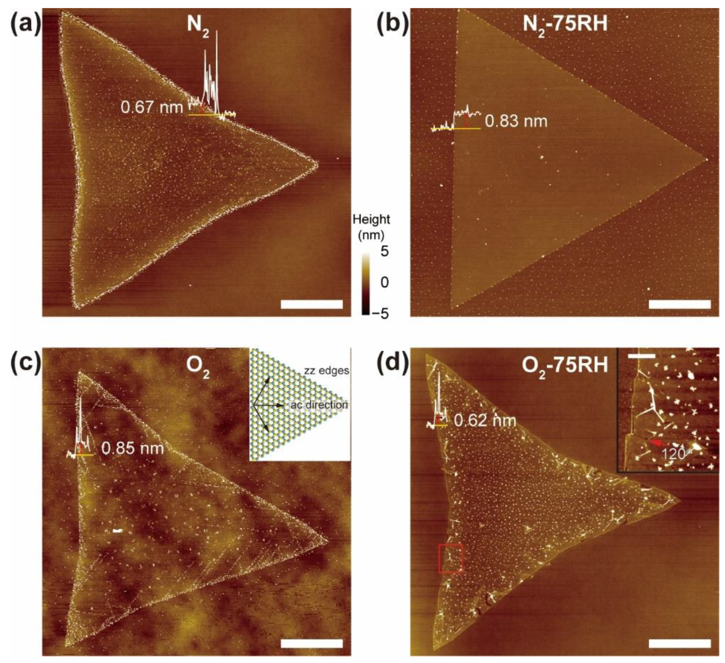 Nanomaterials 12 01706 g002