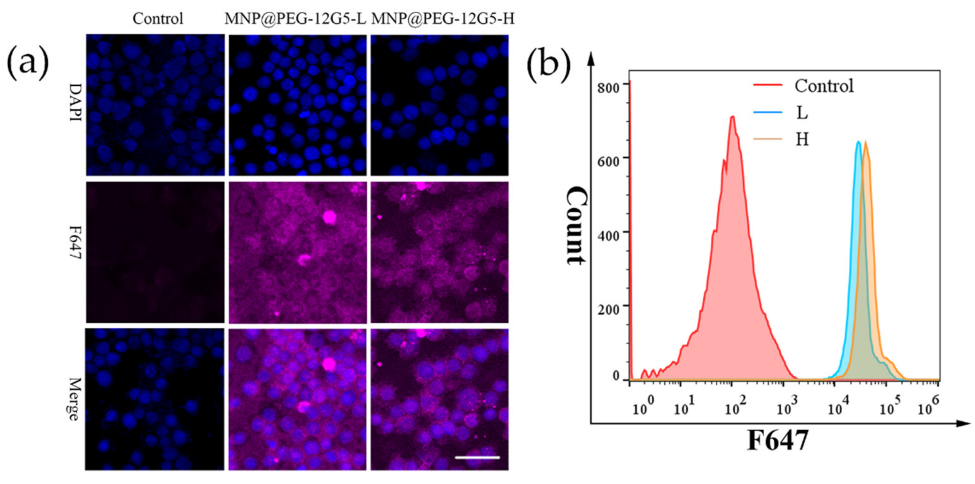 Nanomaterials 12 01711 g005