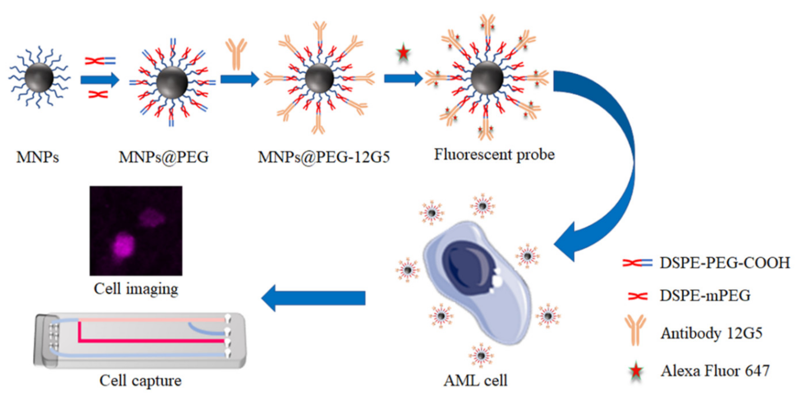 Nanomaterials 12 01711 sch001