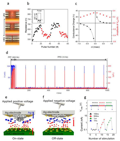 Human brain stimulated by artificial synaptic device