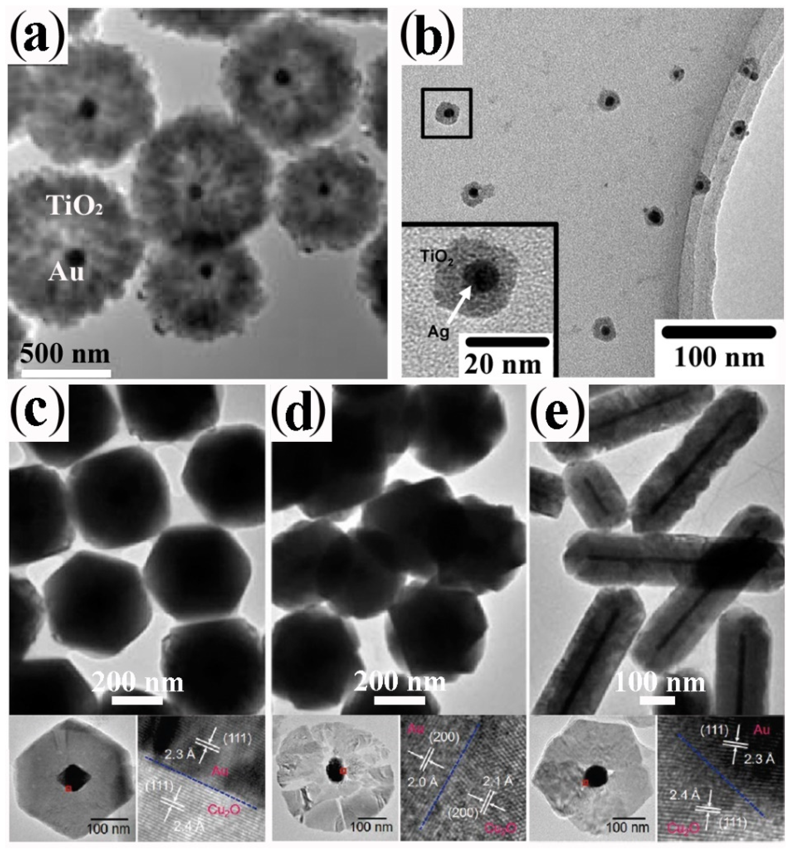 Seed‐Mediated Growth of Colloidal Metal Nanocrystals - Xia - 2017 -  Angewandte Chemie International Edition - Wiley Online Library