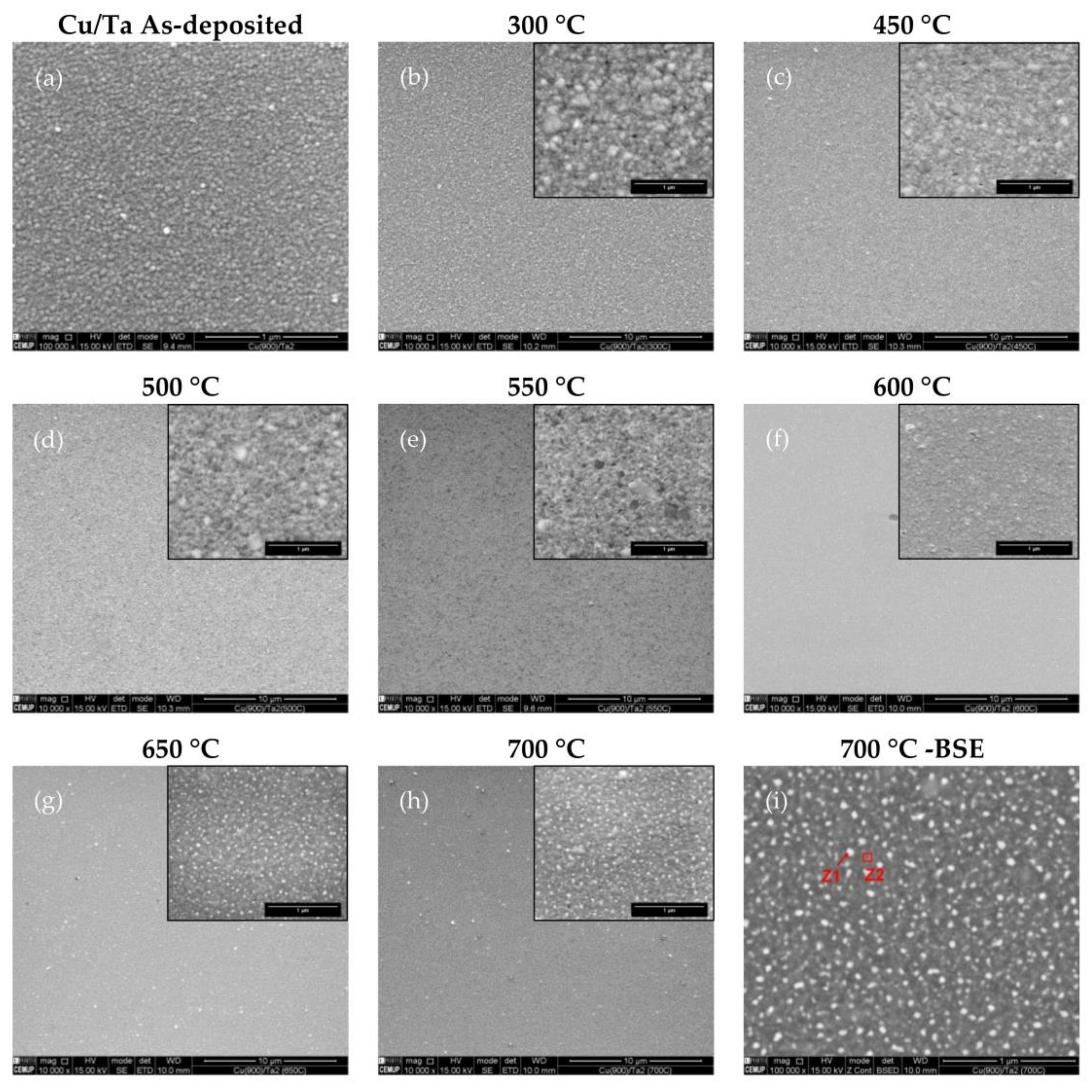 Nanomaterials 12 01752 g004