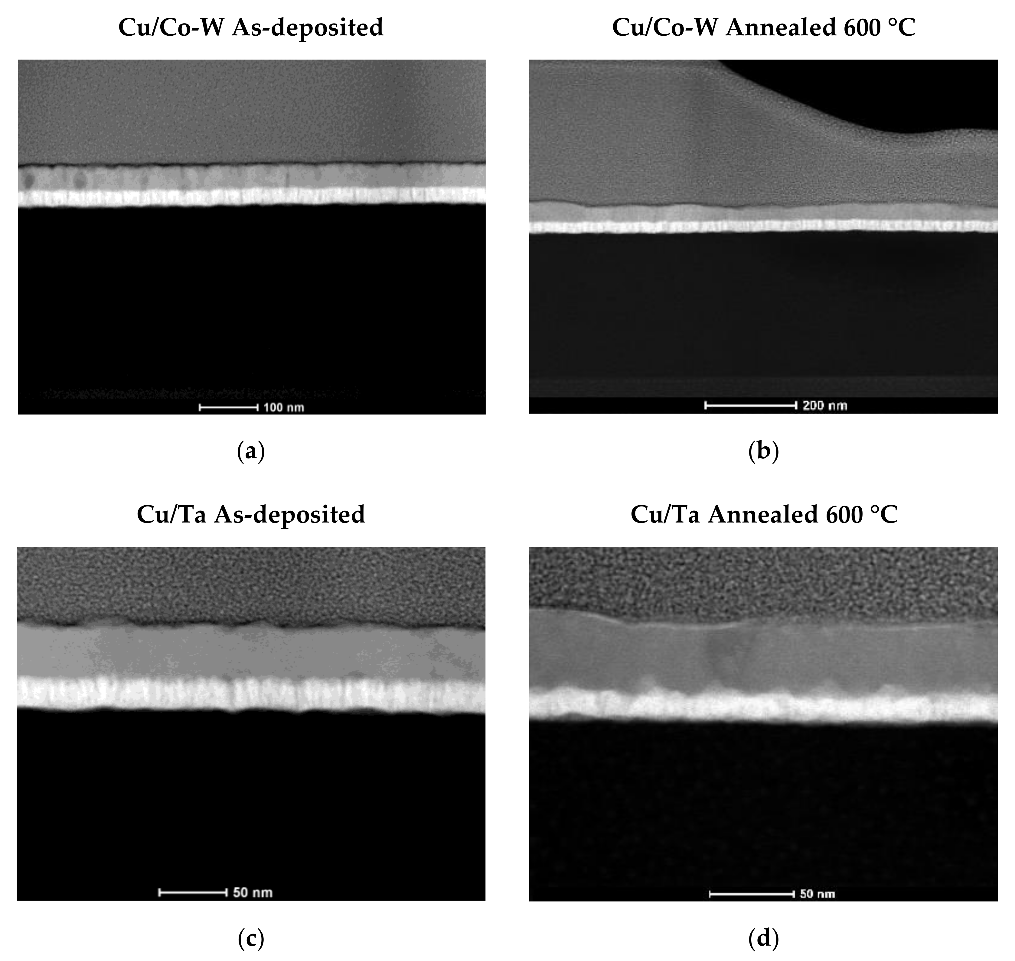 Nanomaterials 12 01752 g010