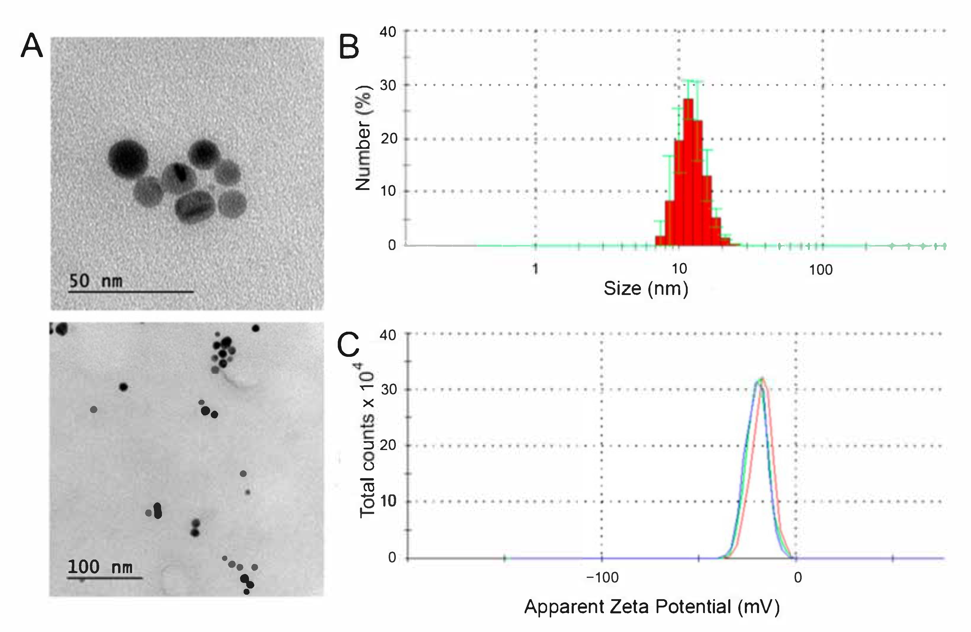 Nanomaterials 12 01762 g001