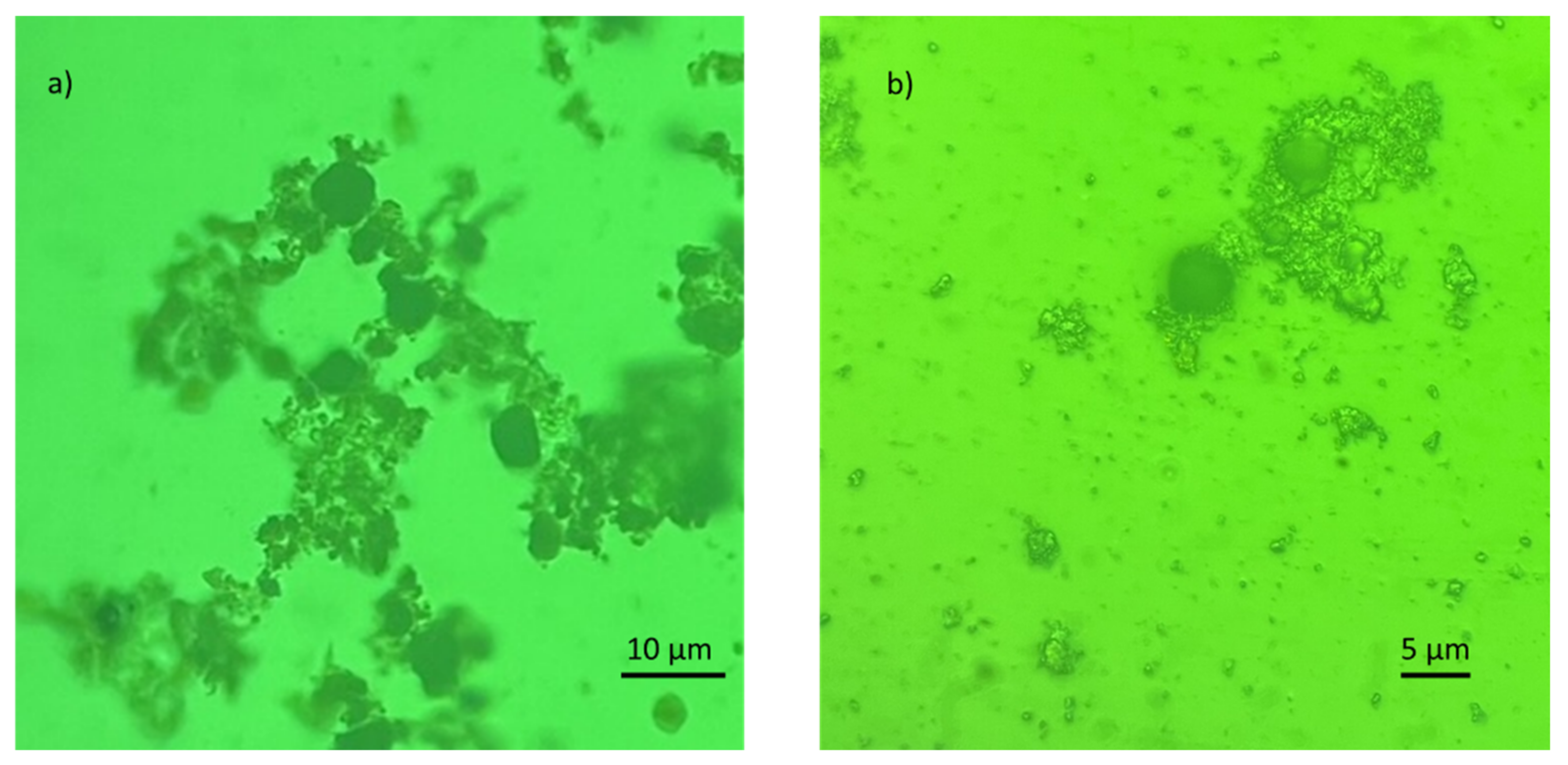 Nanomaterials 12 01786 g010