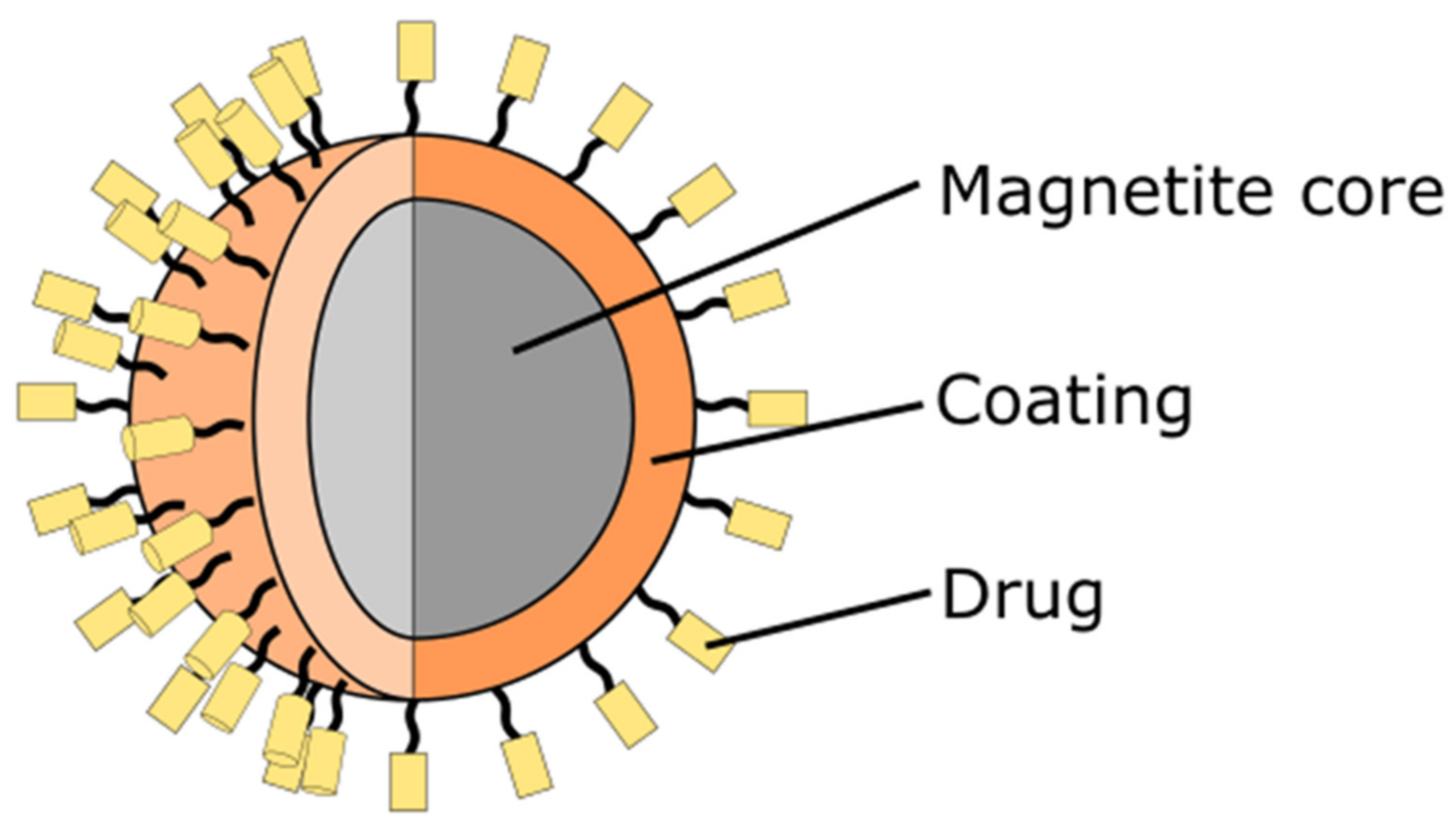 Nanomaterials | Free Full-Text | Magnetite Nanoparticles in Magnetic  Hyperthermia and Cancer Therapies: Challenges and Perspectives