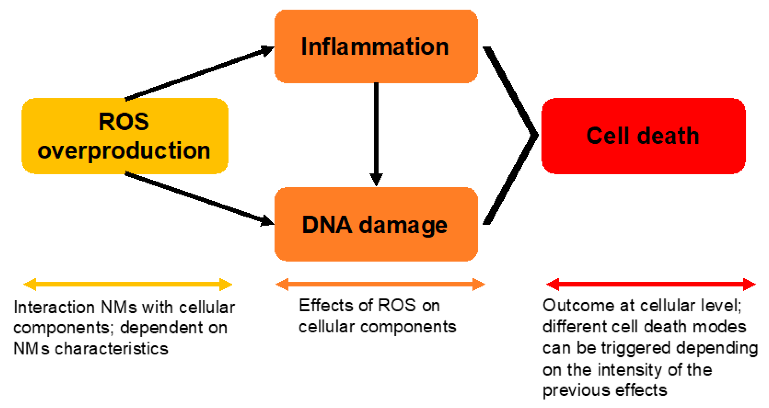 Nanomaterials 12 01810 g003