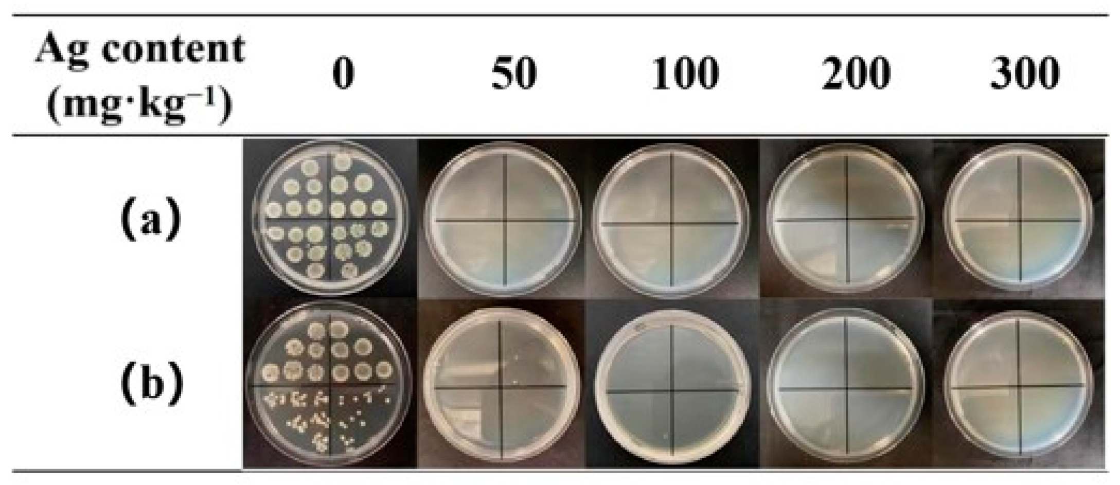 Nanomaterials 12 01813 g006