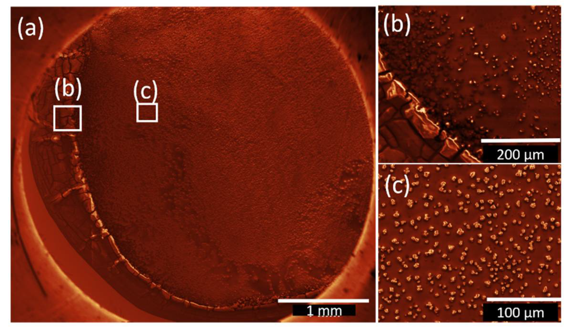 Nanomaterials 12 01815 g005