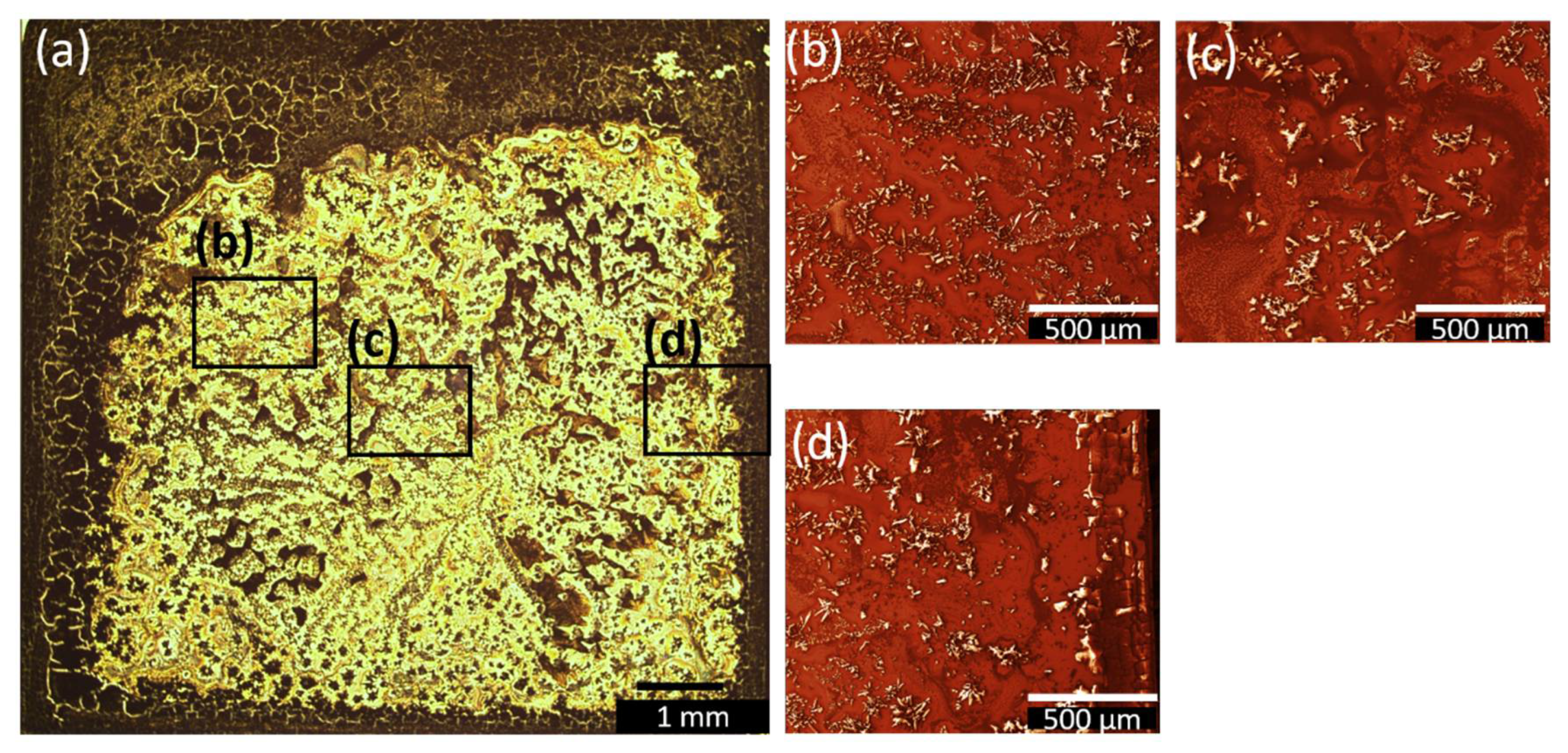Nanomaterials 12 01815 g007