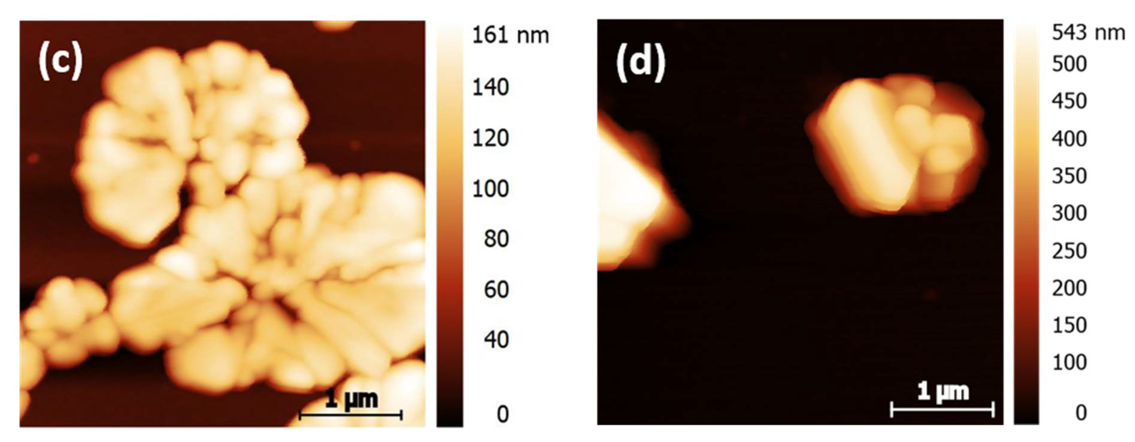 Nanomaterials 12 01815 g009b