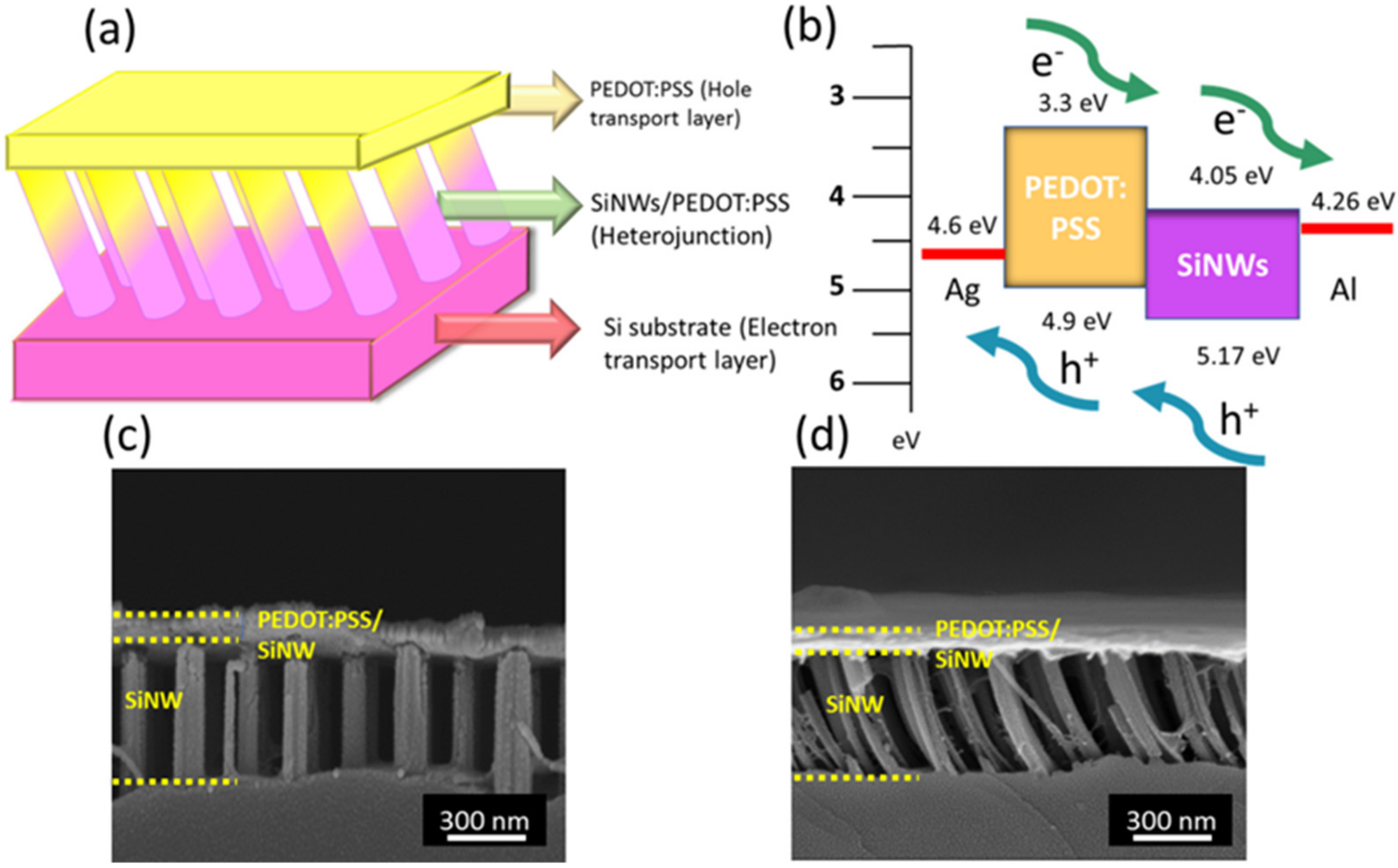 Nanomaterials 12 01821 g007