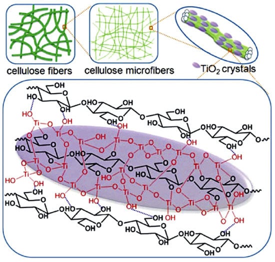 Nanomaterials | Free Full-Text | Cellulose Structures as a Support