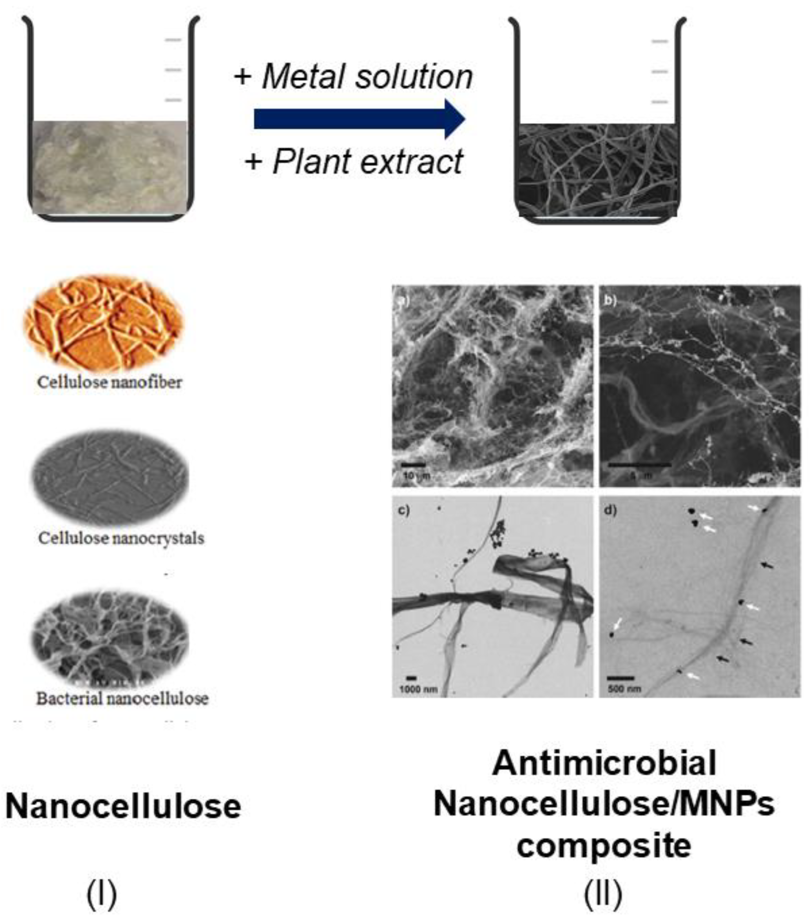 Nanomaterials 12 01841 g004 Nanomaterials 12 01841 g004