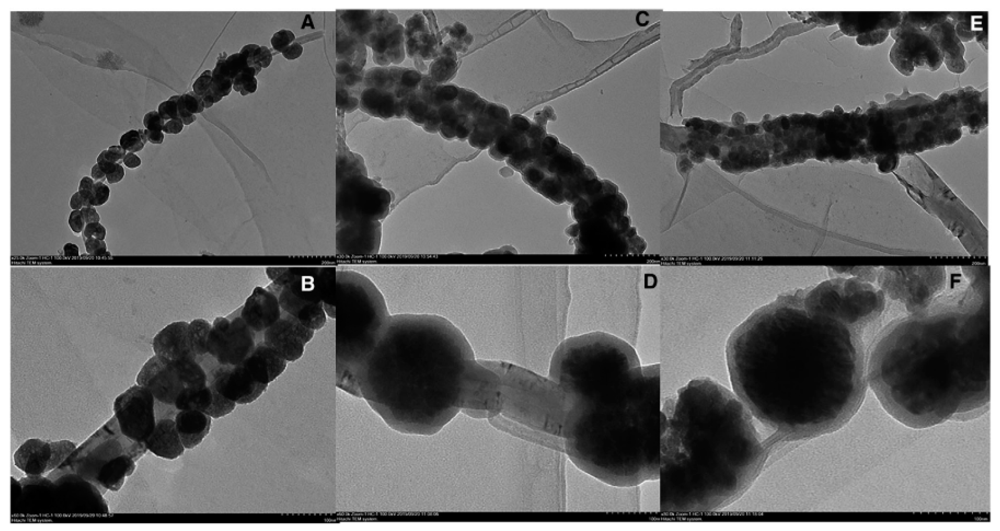 Nanomaterials 12 01845 g013