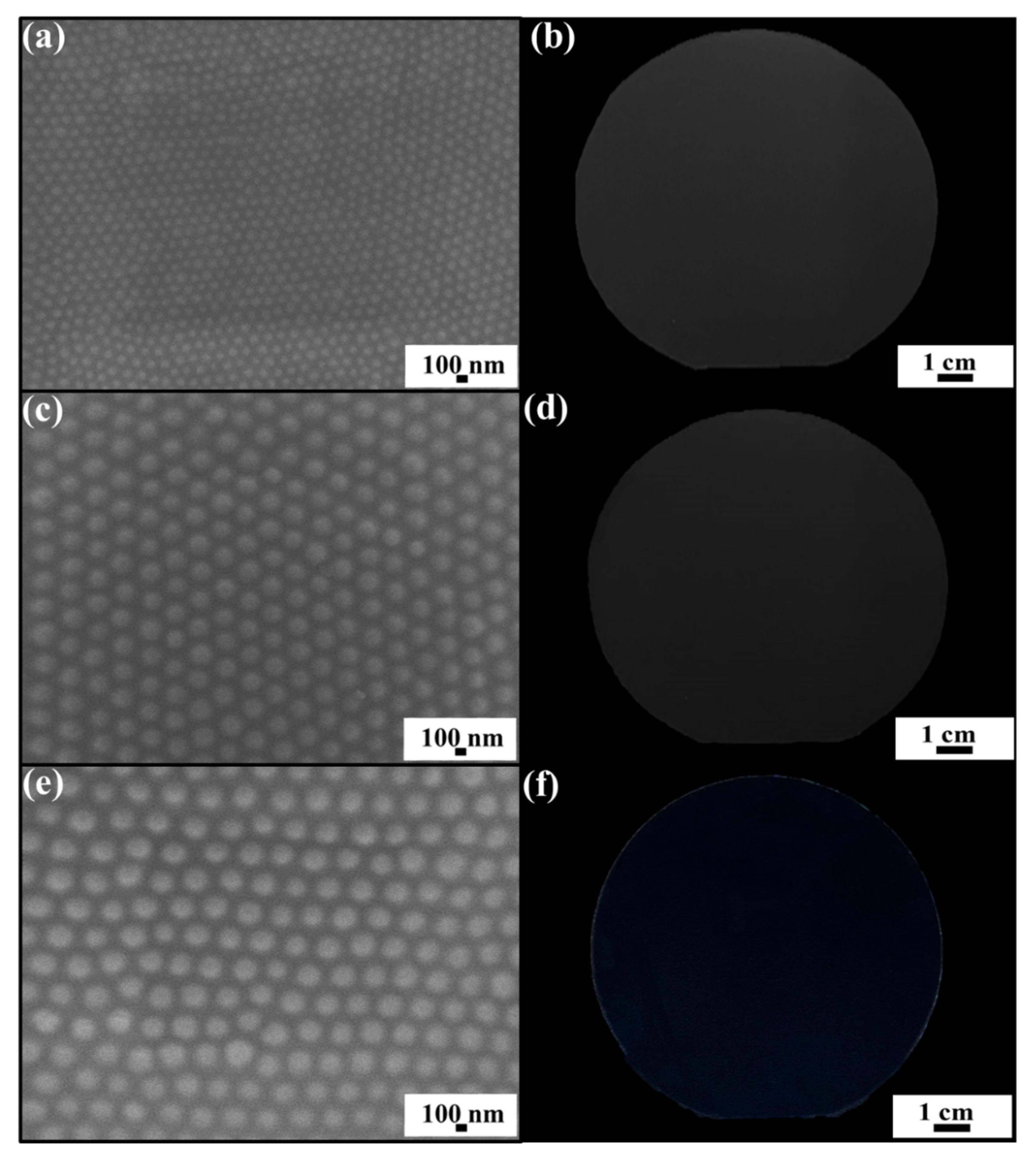 Nanomaterials 12 01856 g001
