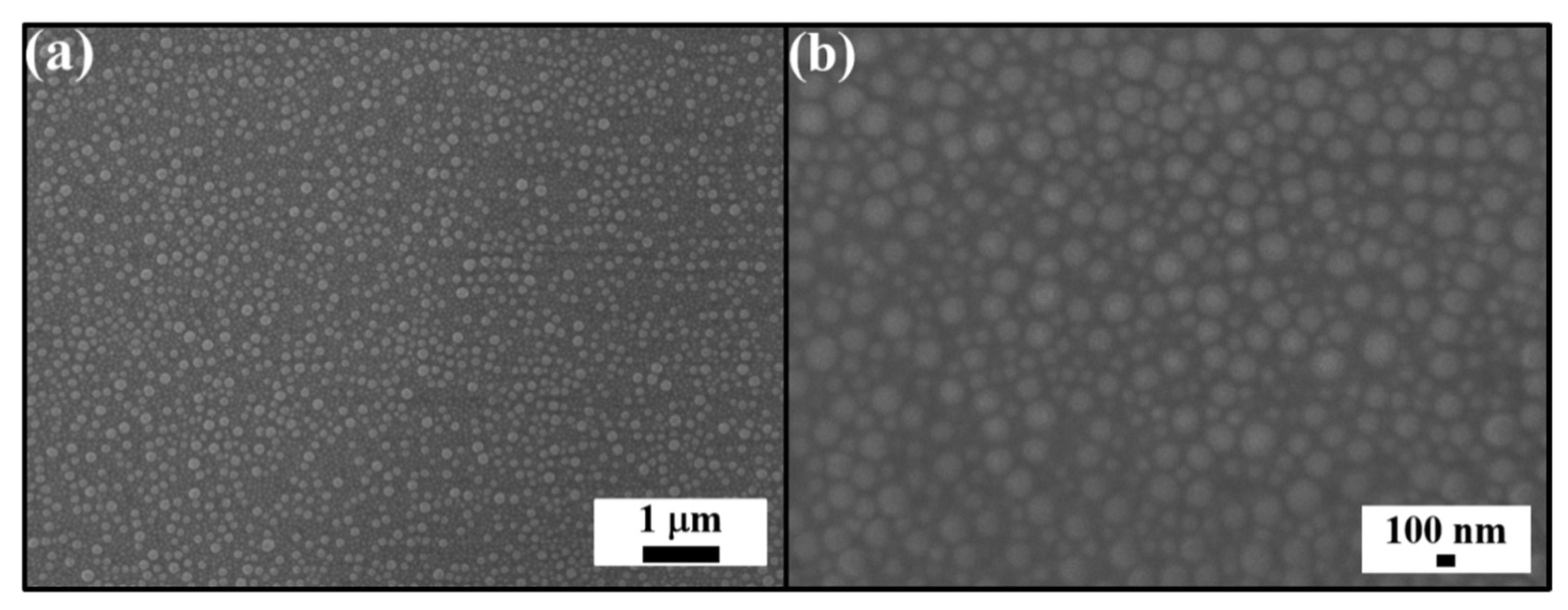 Nanomaterials 12 01856 g002