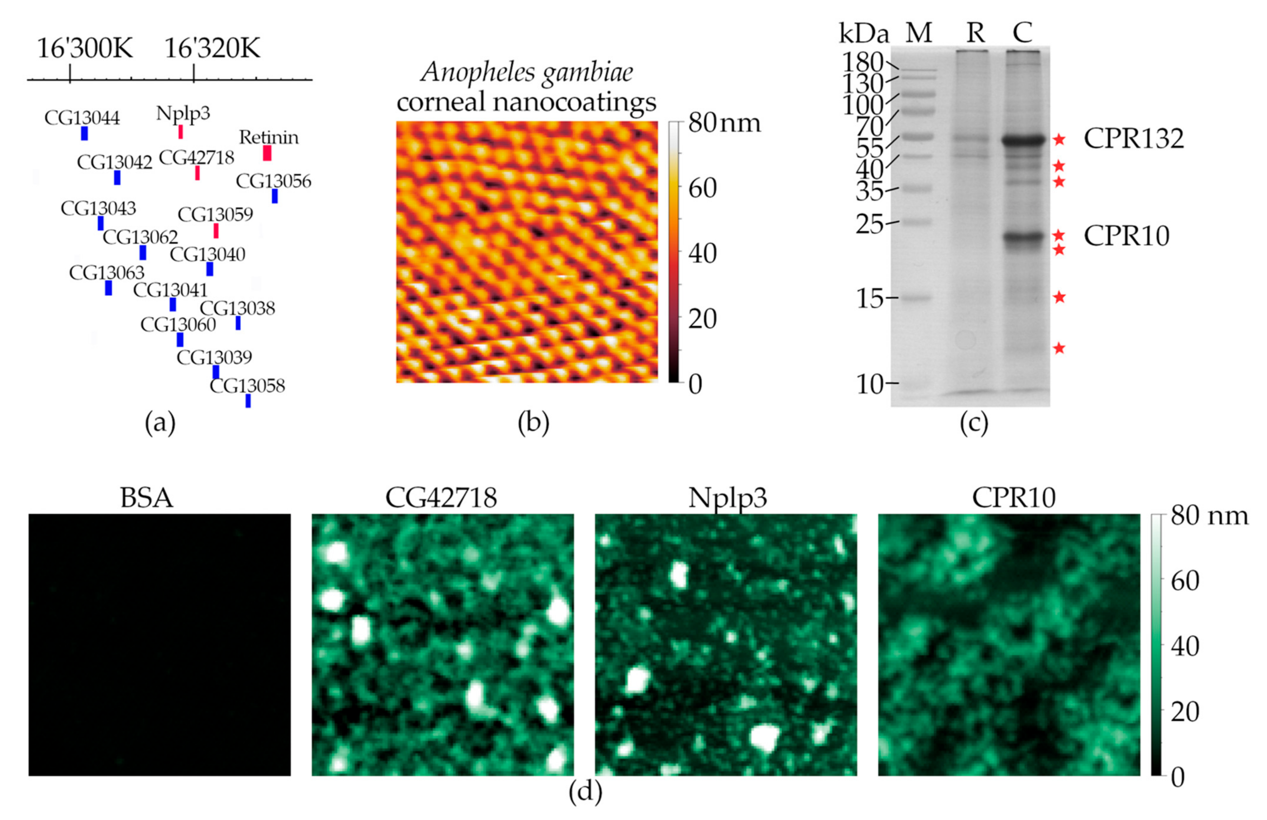 Nanomaterials 12 01868 g002