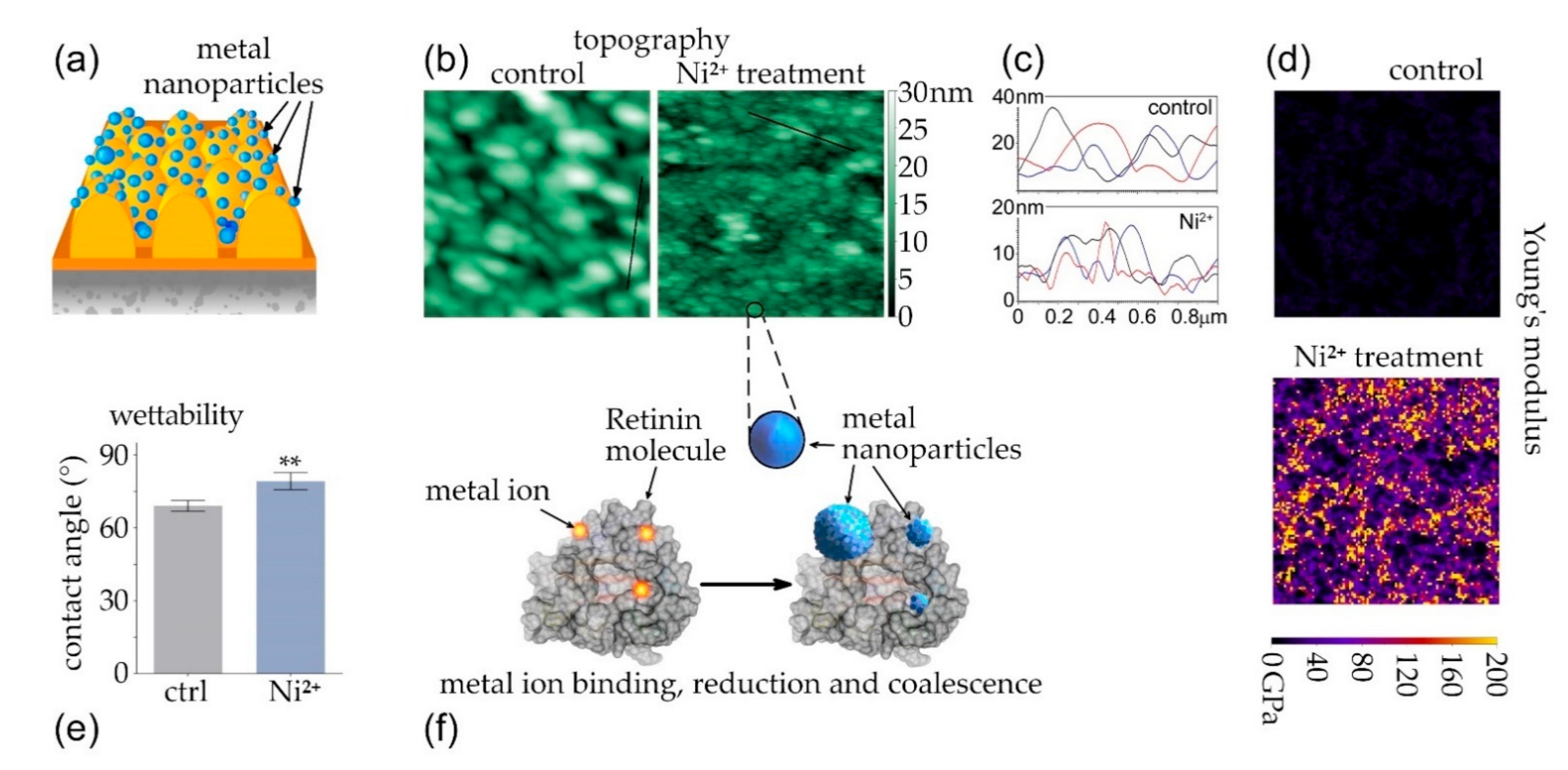 Nanomaterials 12 01868 g003