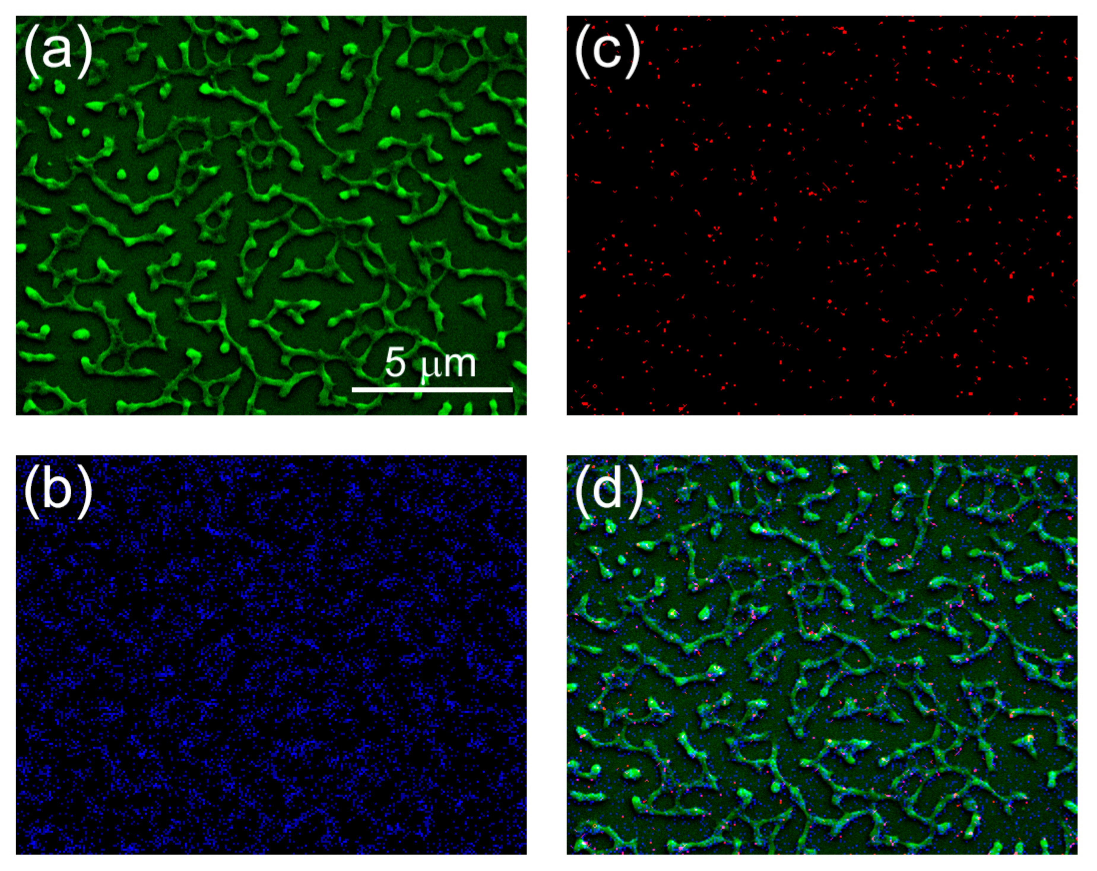 Nanomaterials 12 01868 g005
