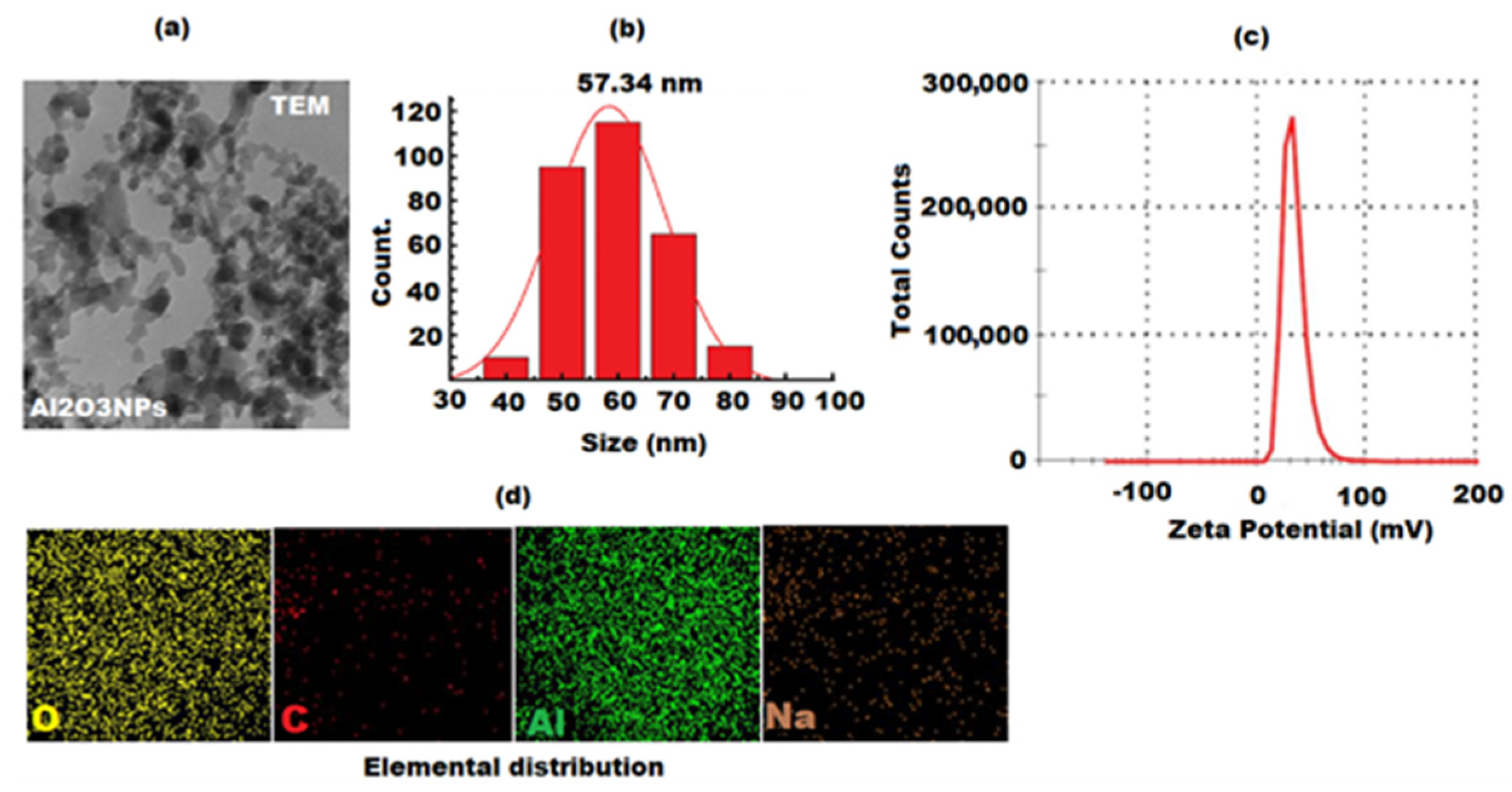 Nanomaterials 12 01885 g004