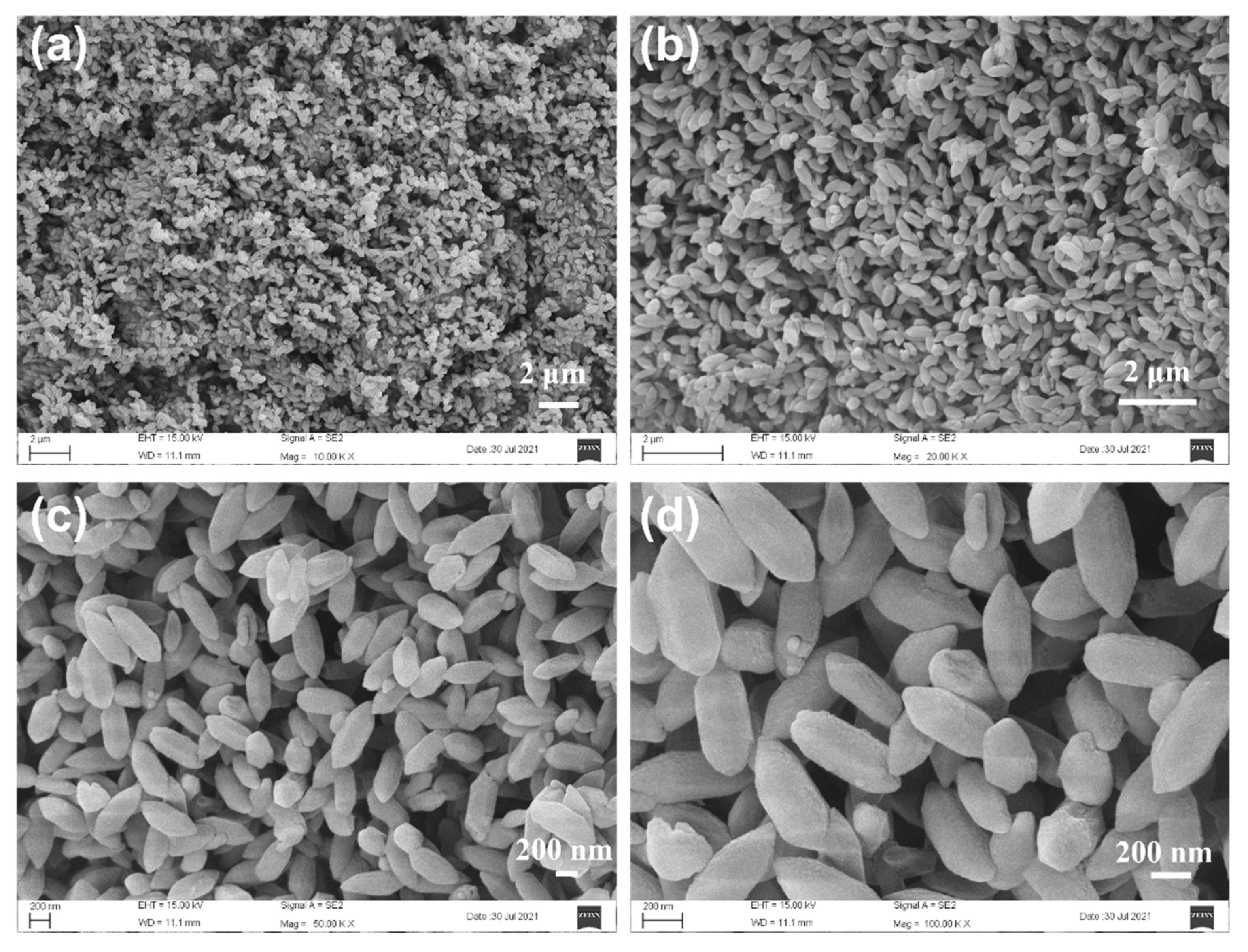 Nanomaterials 12 01891 g002
