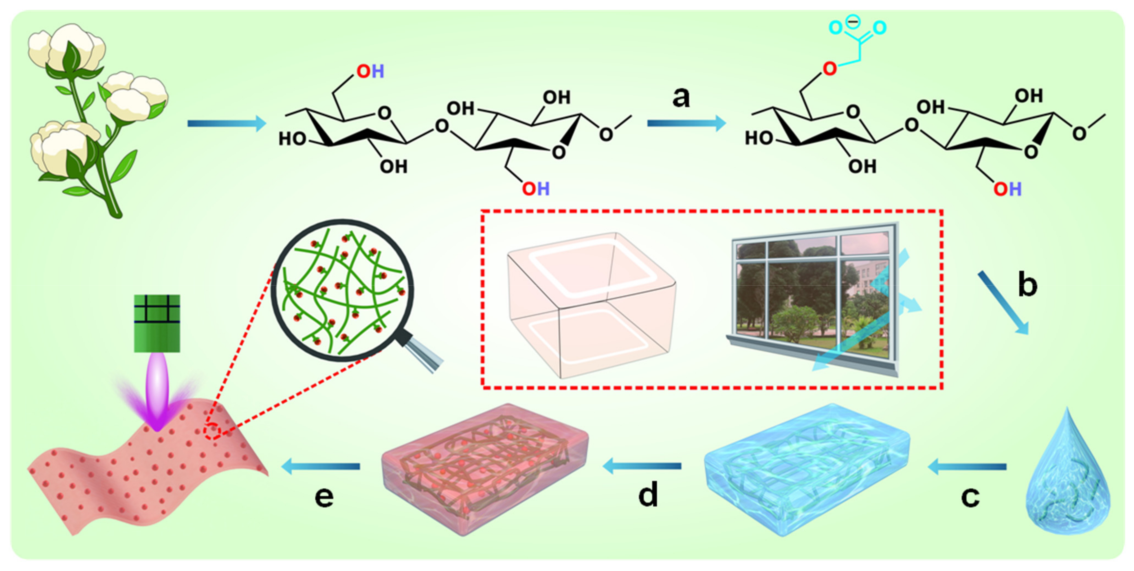 Nanomaterials 12 01891 sch001