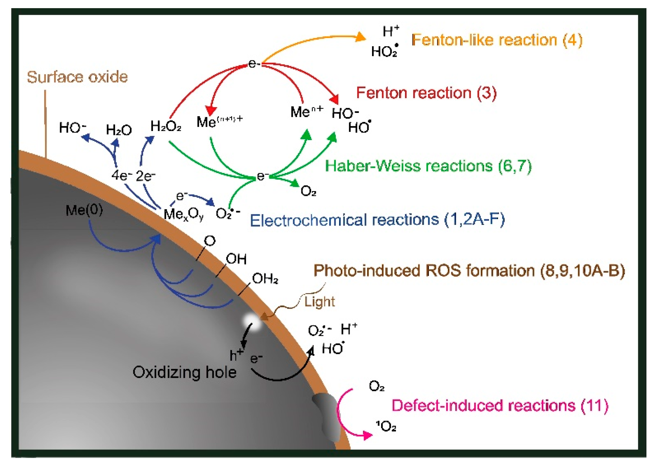 Nanomaterials | Free Full-Text | Reactive Oxygen Species Formed by Metal  and Metal Oxide Nanoparticles in Physiological Media&mdash;A Review of  Reactions of Importance to Nanotoxicity and Proposal for Categorization