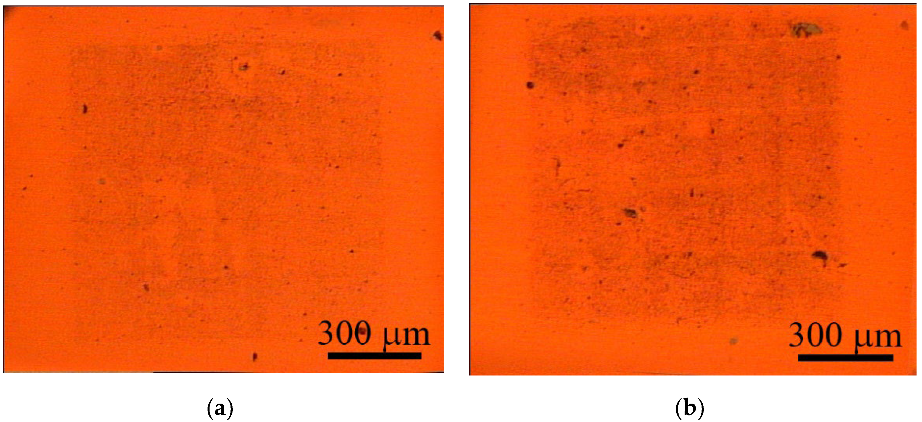 Nanomaterials 12 01934 g002