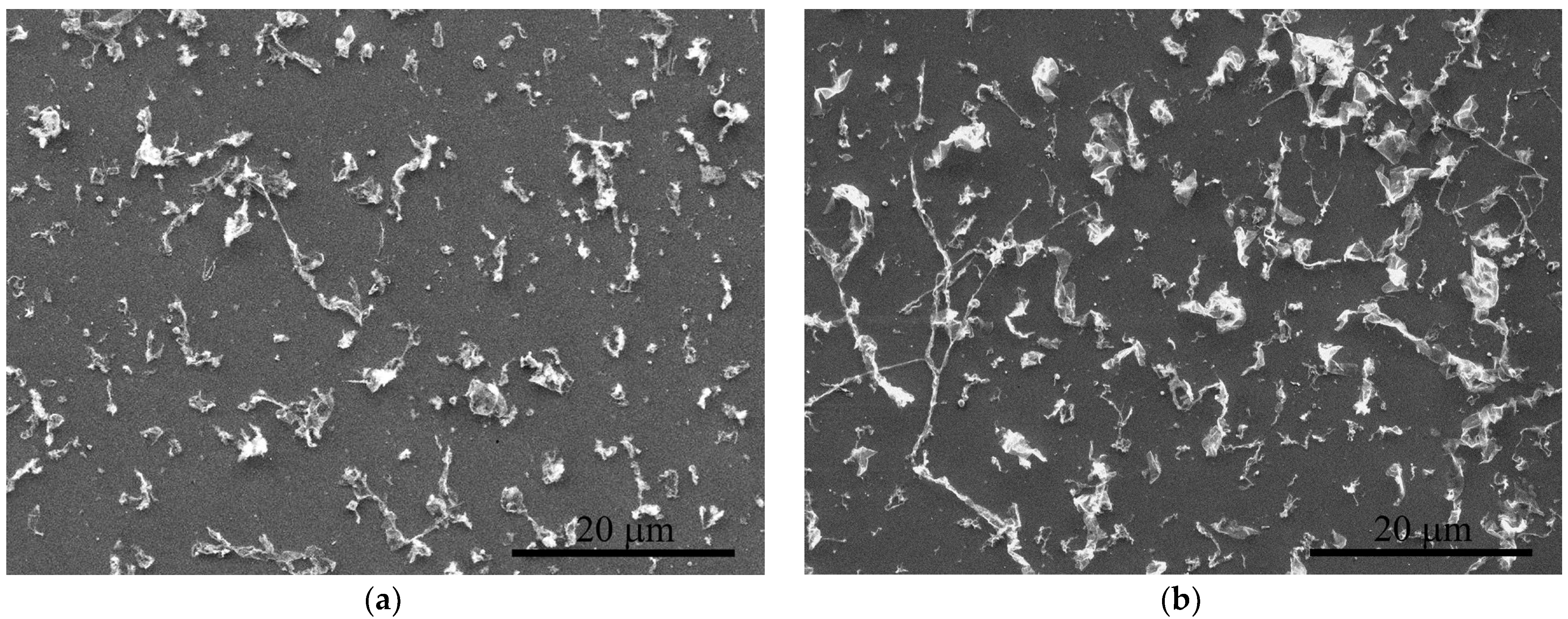 Nanomaterials 12 01934 g003