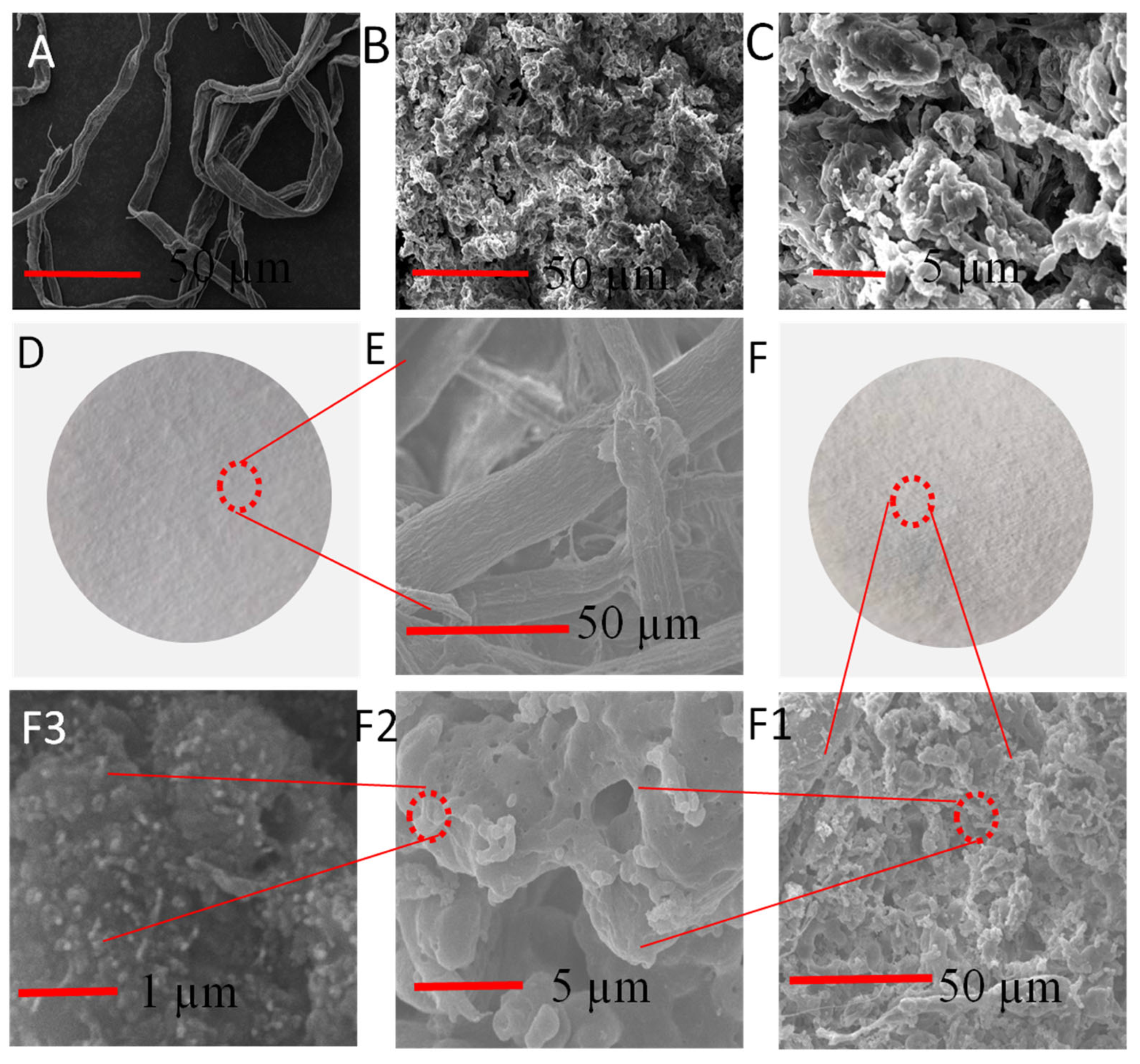 Nanomaterials 12 01964 g004