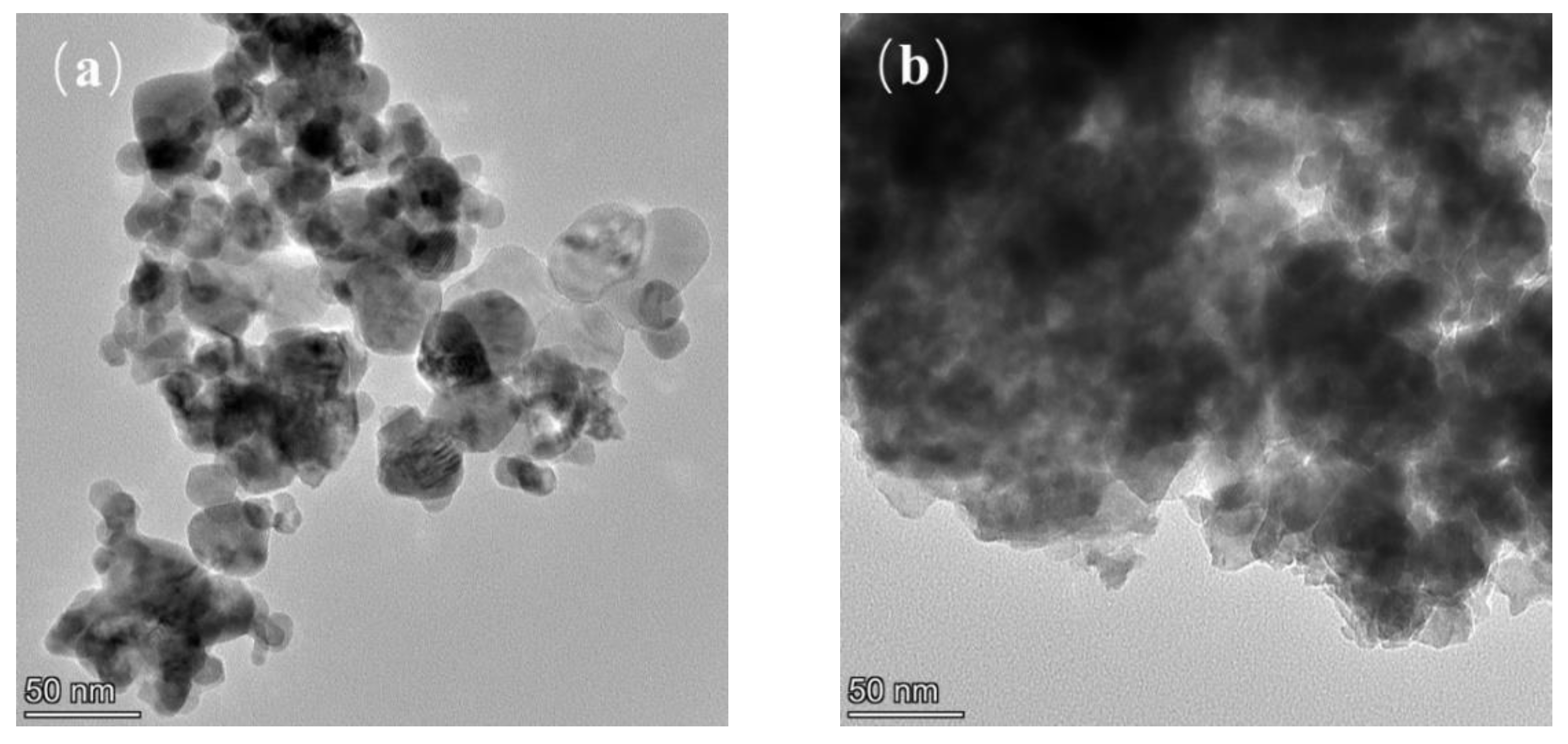 Nanomaterials 12 01972 g010