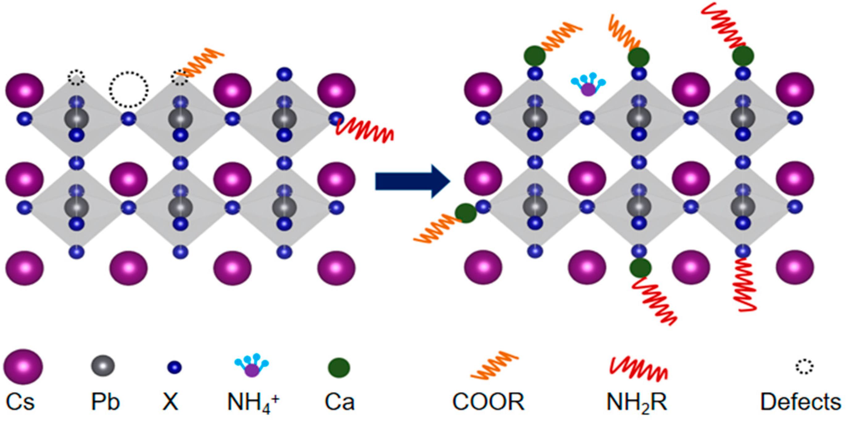 Nanomaterials 12 02026 g007