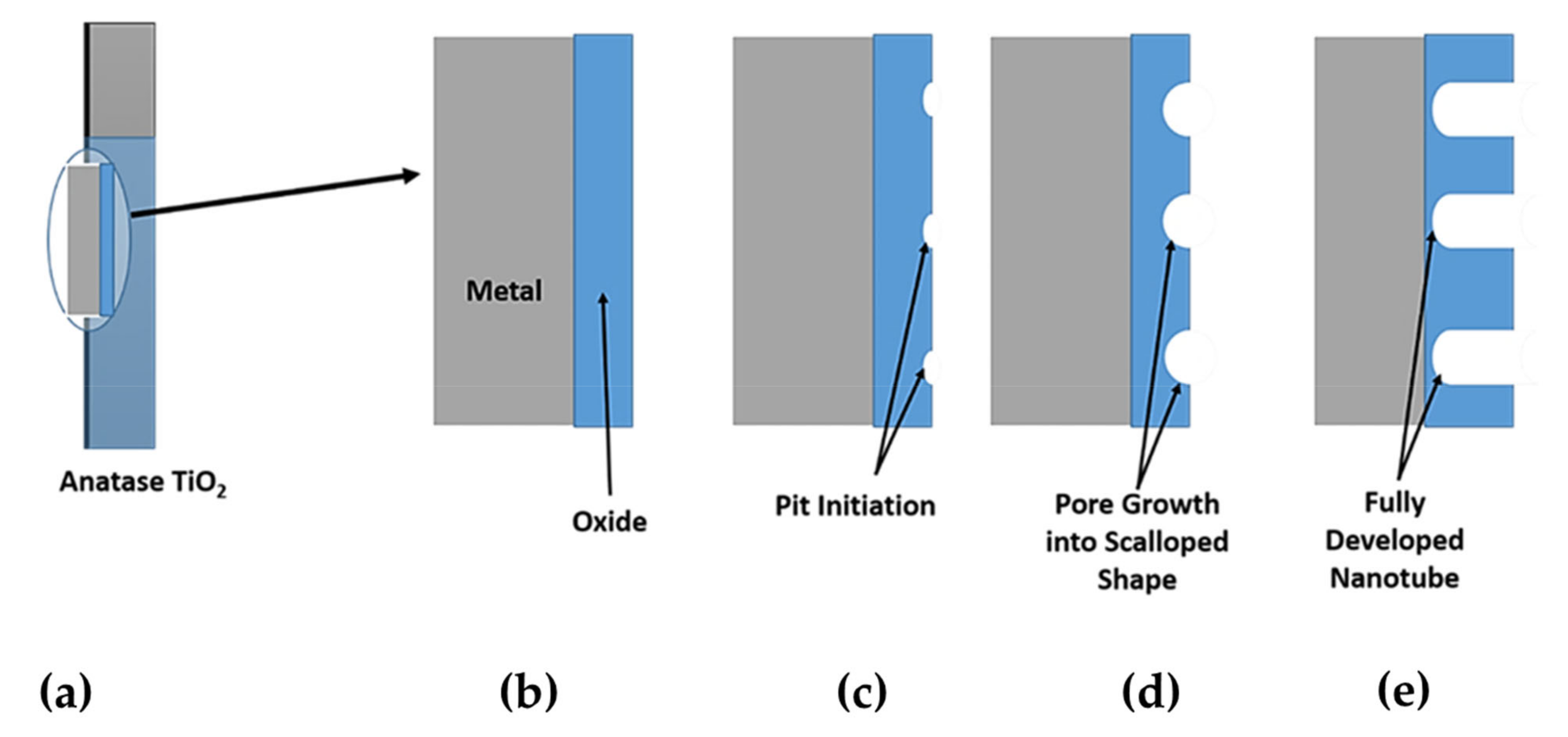 Nanomaterials 12 02034 g015